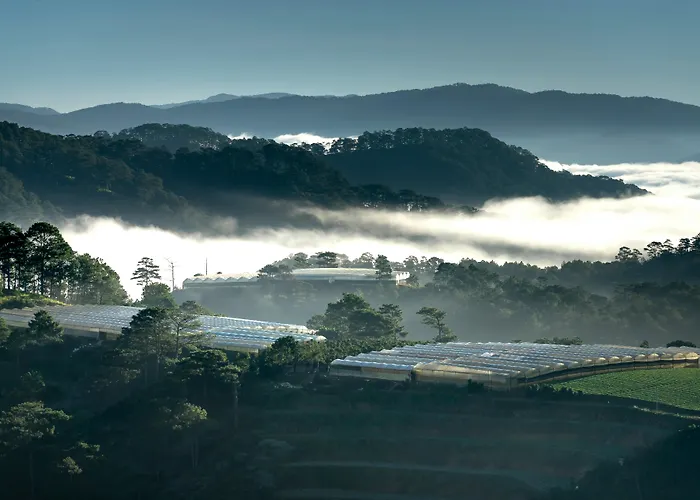 Terracotta Hotel & Resort Dalat