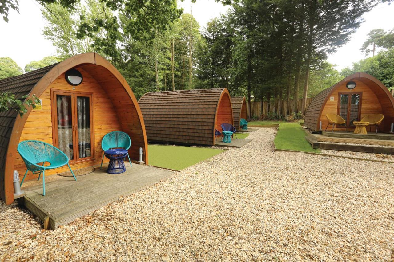 Double Eco-pod with Shared Bathroom,1248878086:JPEG