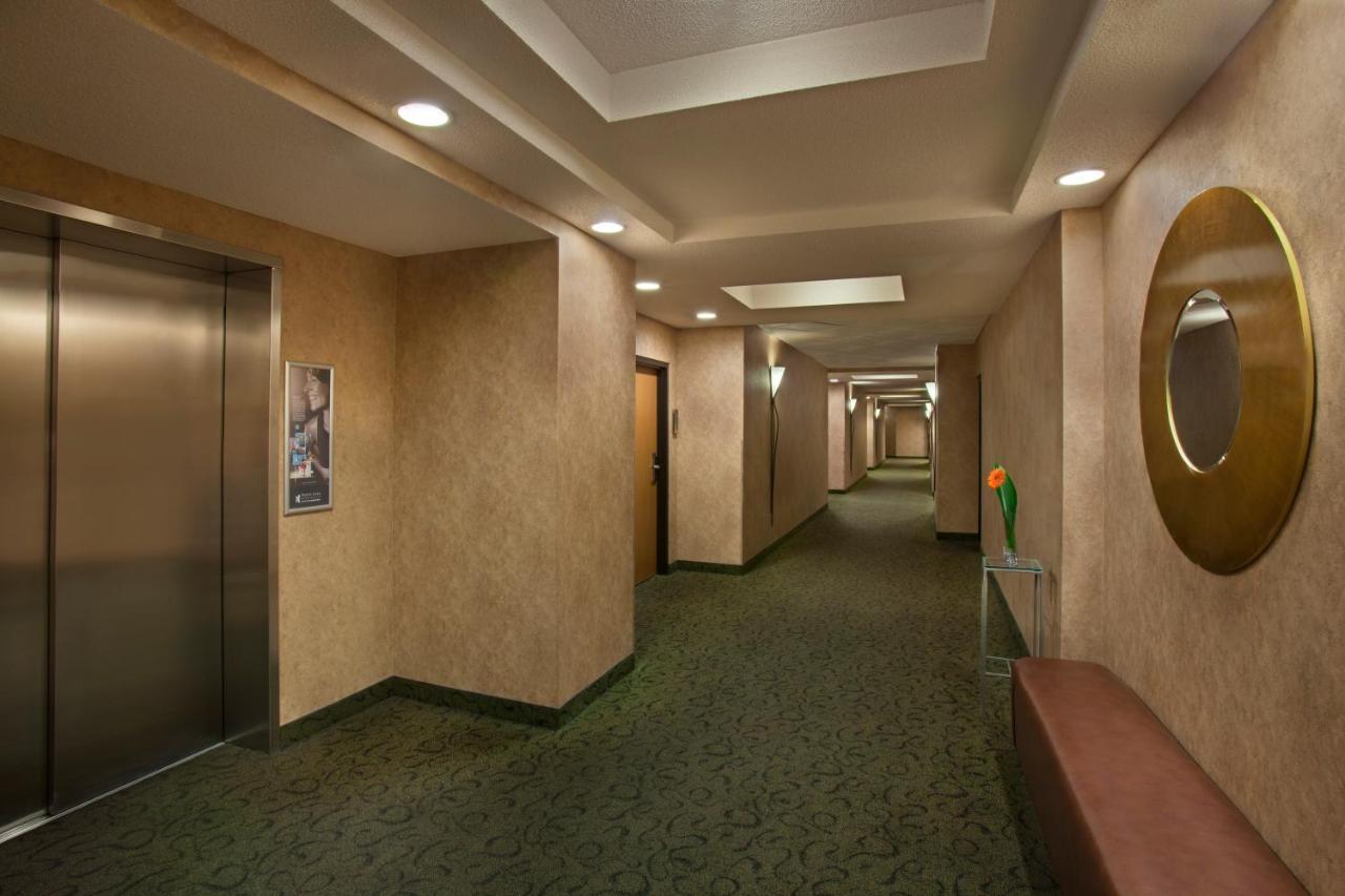 Superior Double Room with Two Double Beds