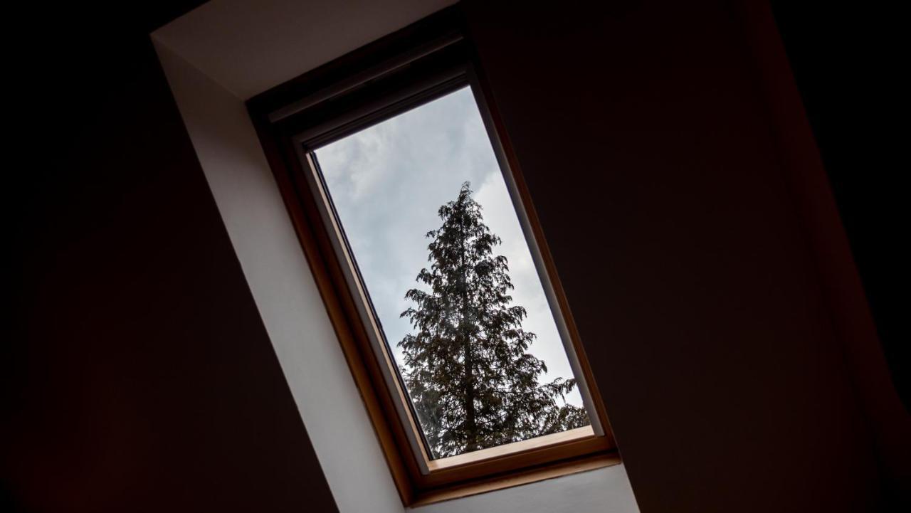 Standard Triple Room,1121134563:JPEG