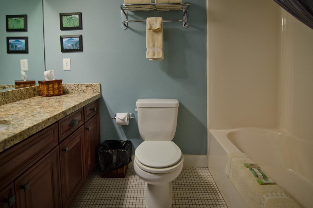 Queen Room with Two Queen Beds with Ocean View,932766469:JPEG