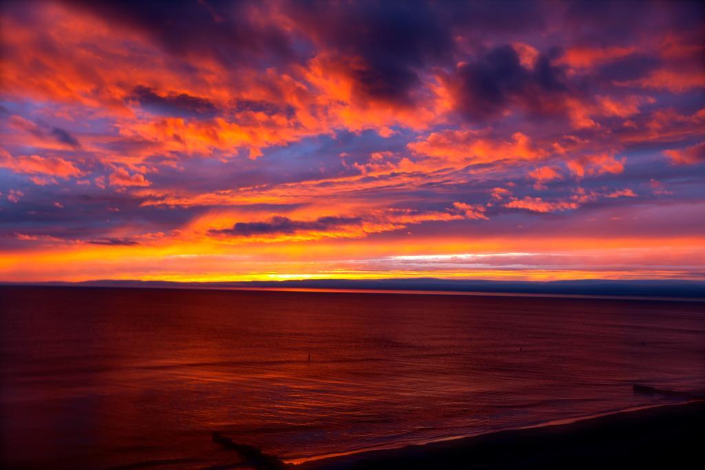 Superior Queen Studio - Gulf Front,379133791:JPEG