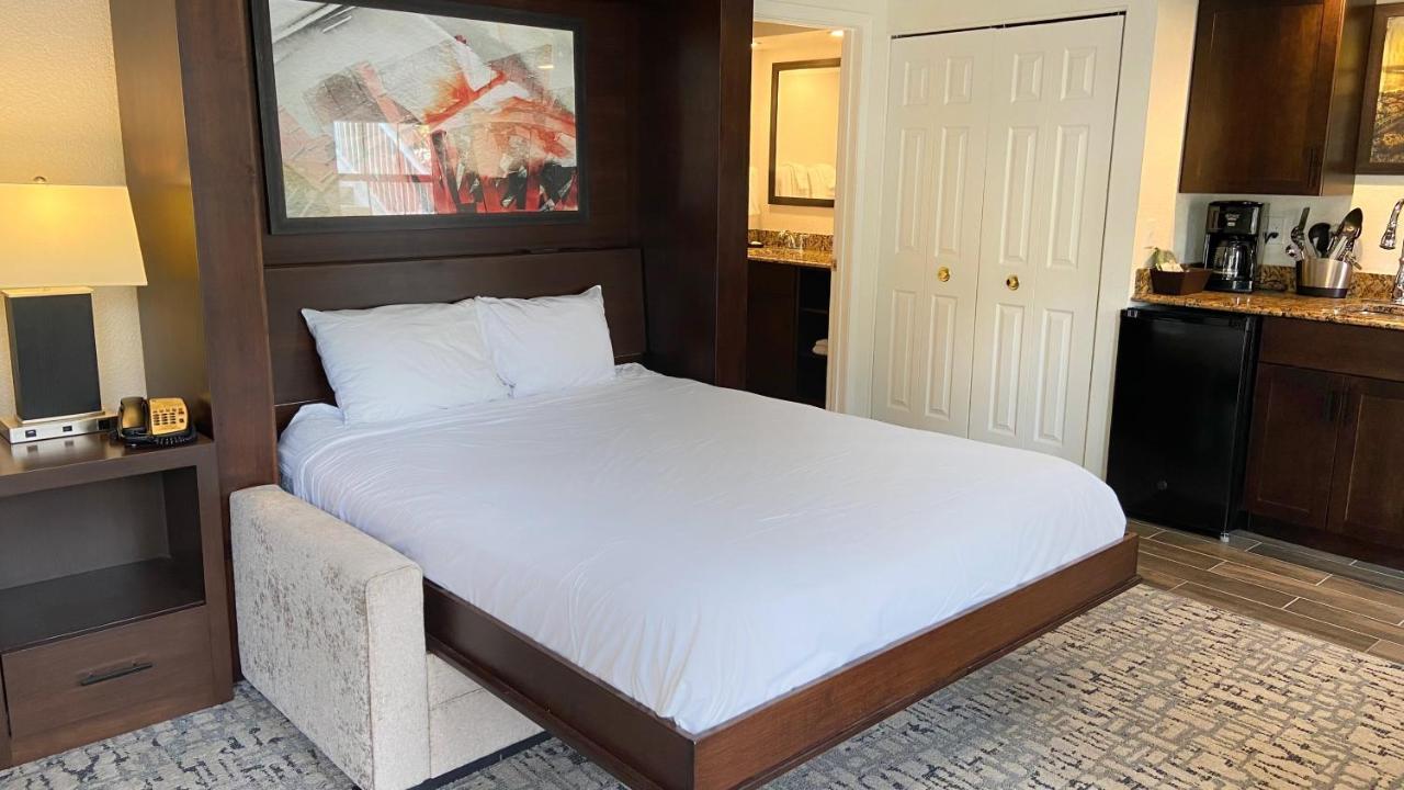 Studio,1143636157:JPEG