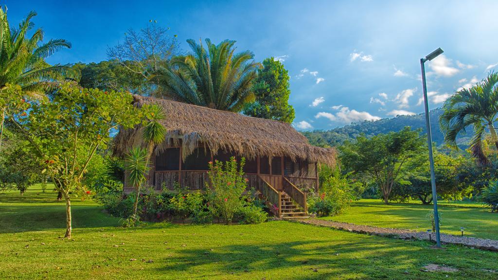 Queen Room with Terrace,119234412:JPEG