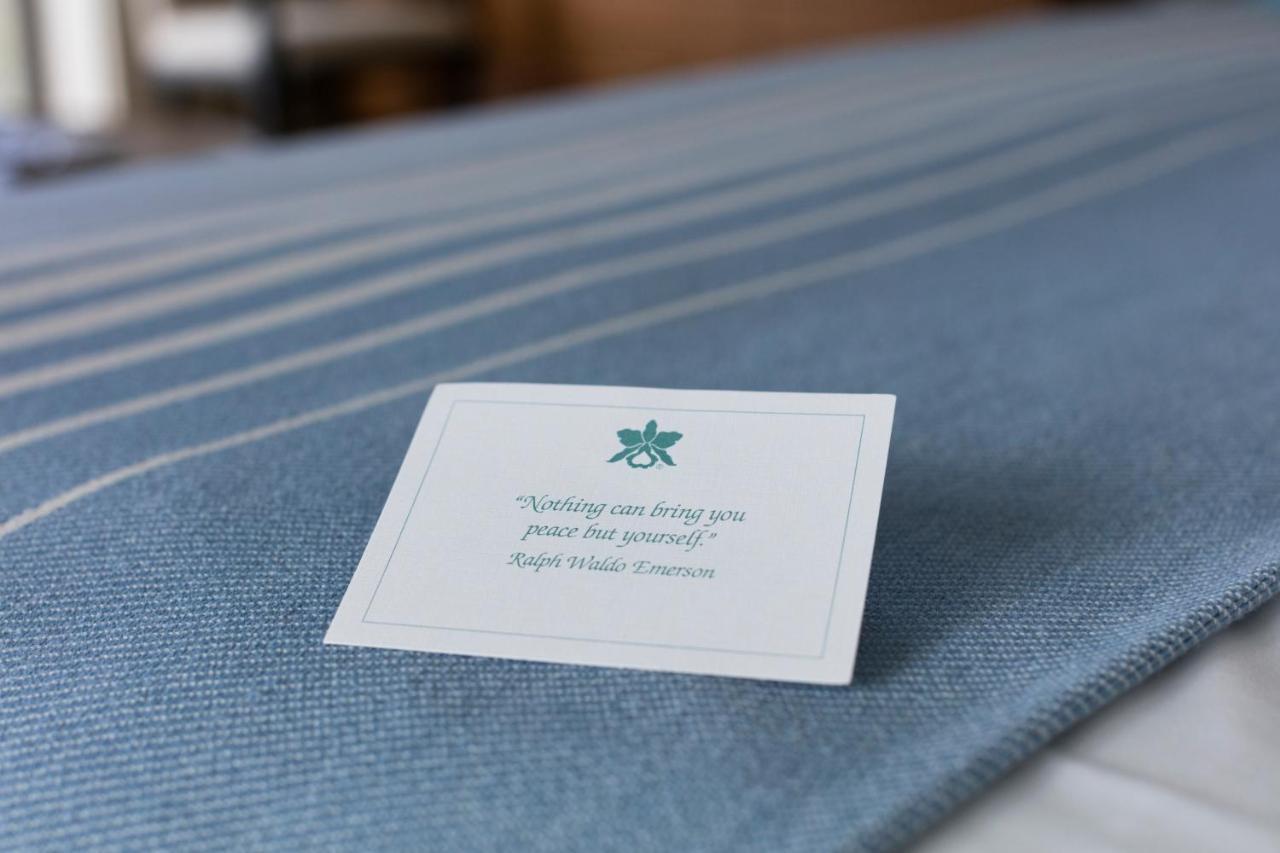 Ocean View King,1210610689:JPEG