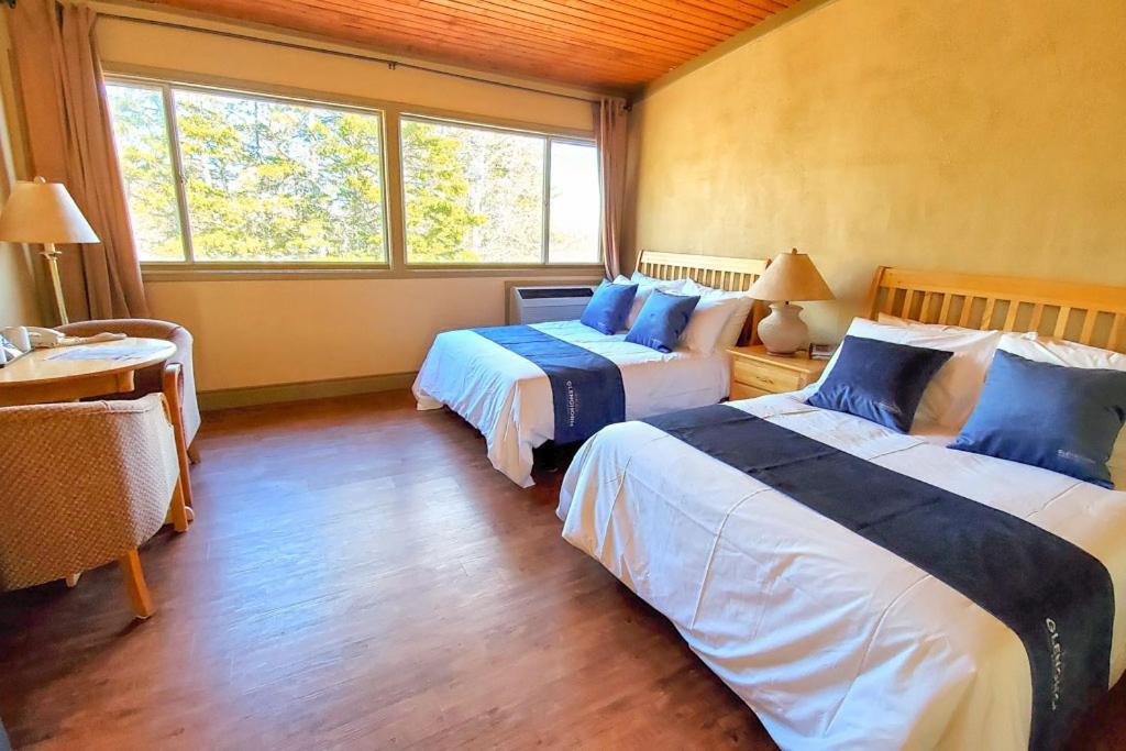 Double Room with Garden View,1207429702:JPEG