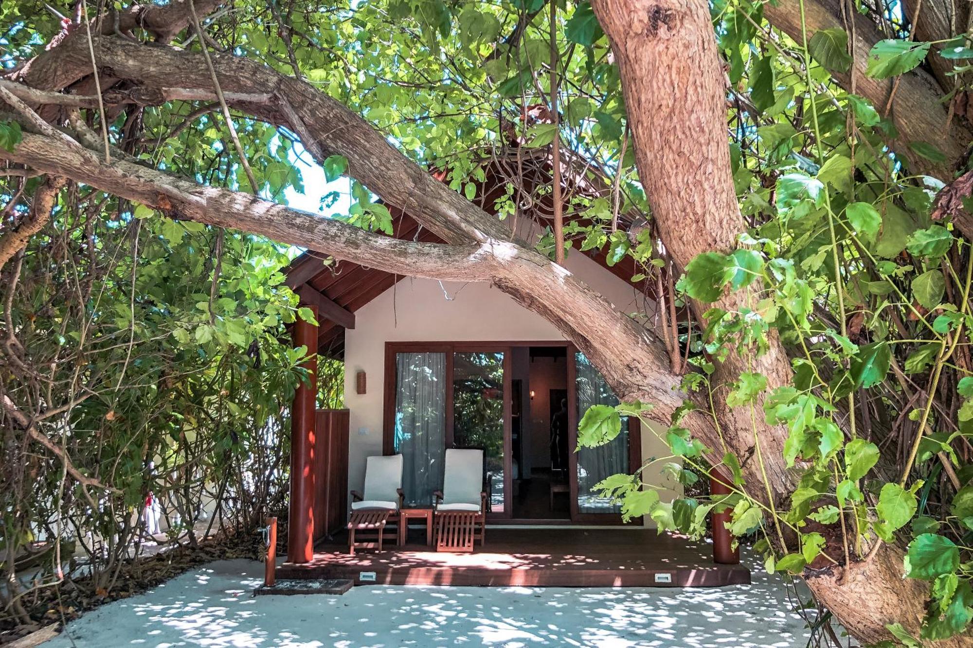 Deluxe Beach Villa,1223542066:JPEG