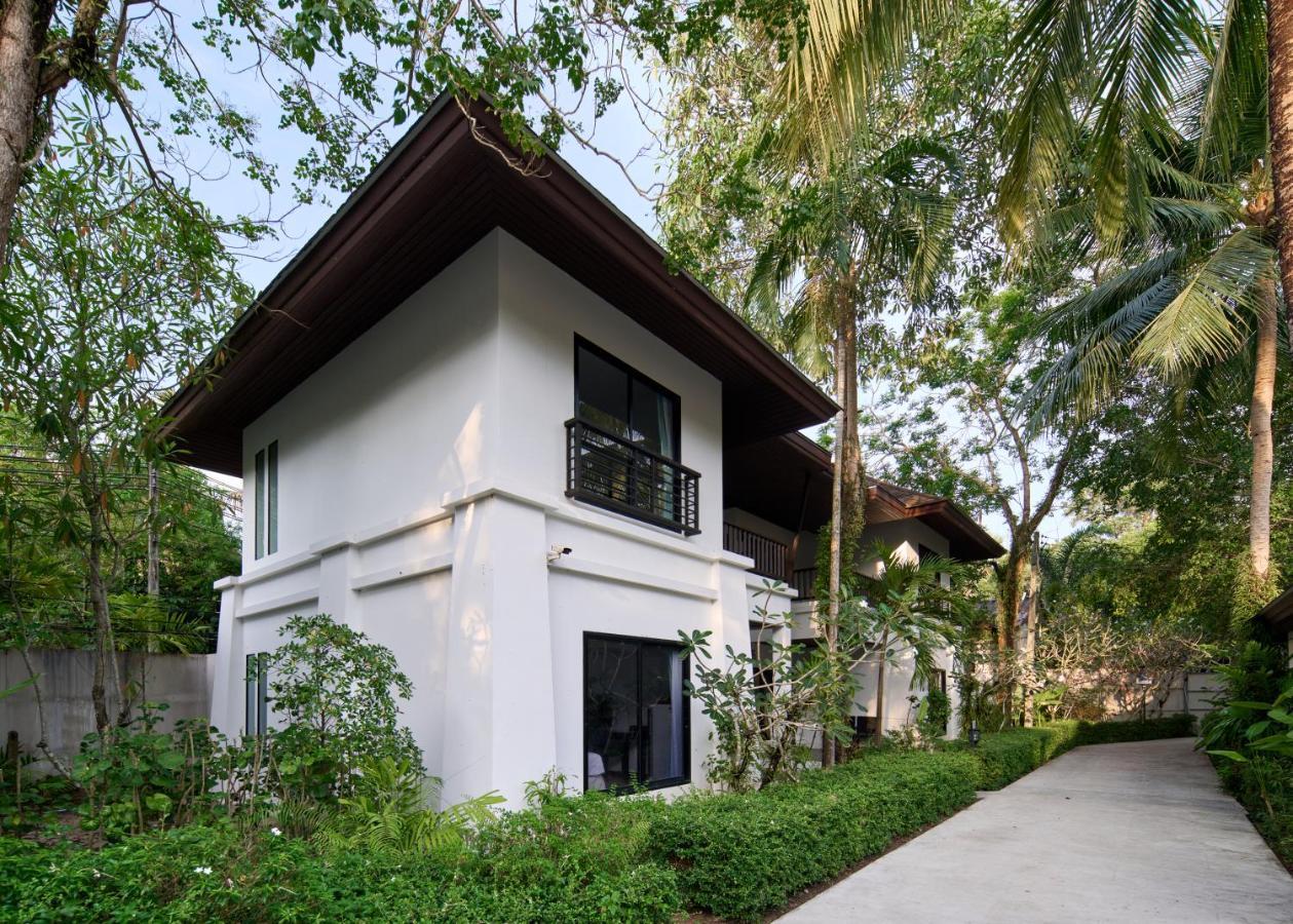 Sea Turtle Suite,1254058102:JPEG