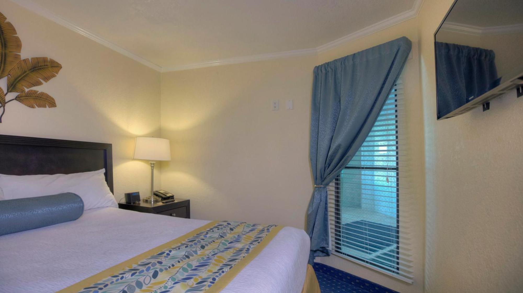 One-Bedroom Suite Conservation View