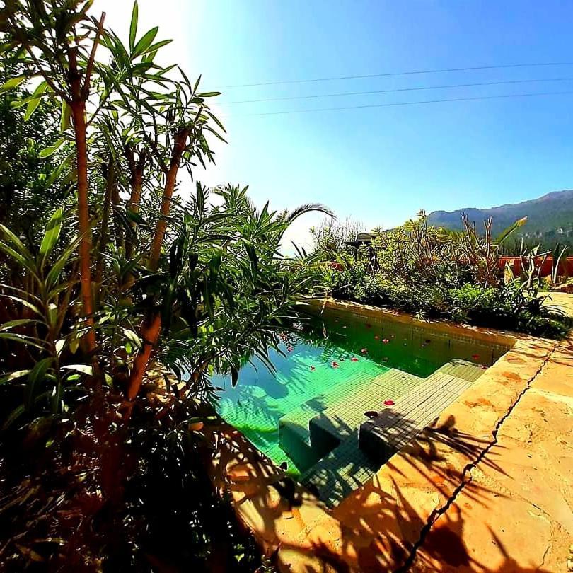 Bungalow Private Pool Private garden,974666176:JPEG