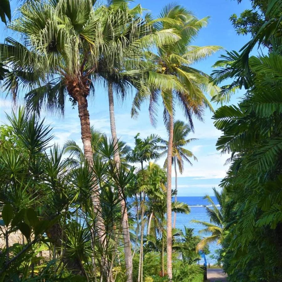 Studio with Ocean View,1296977578:JPEG