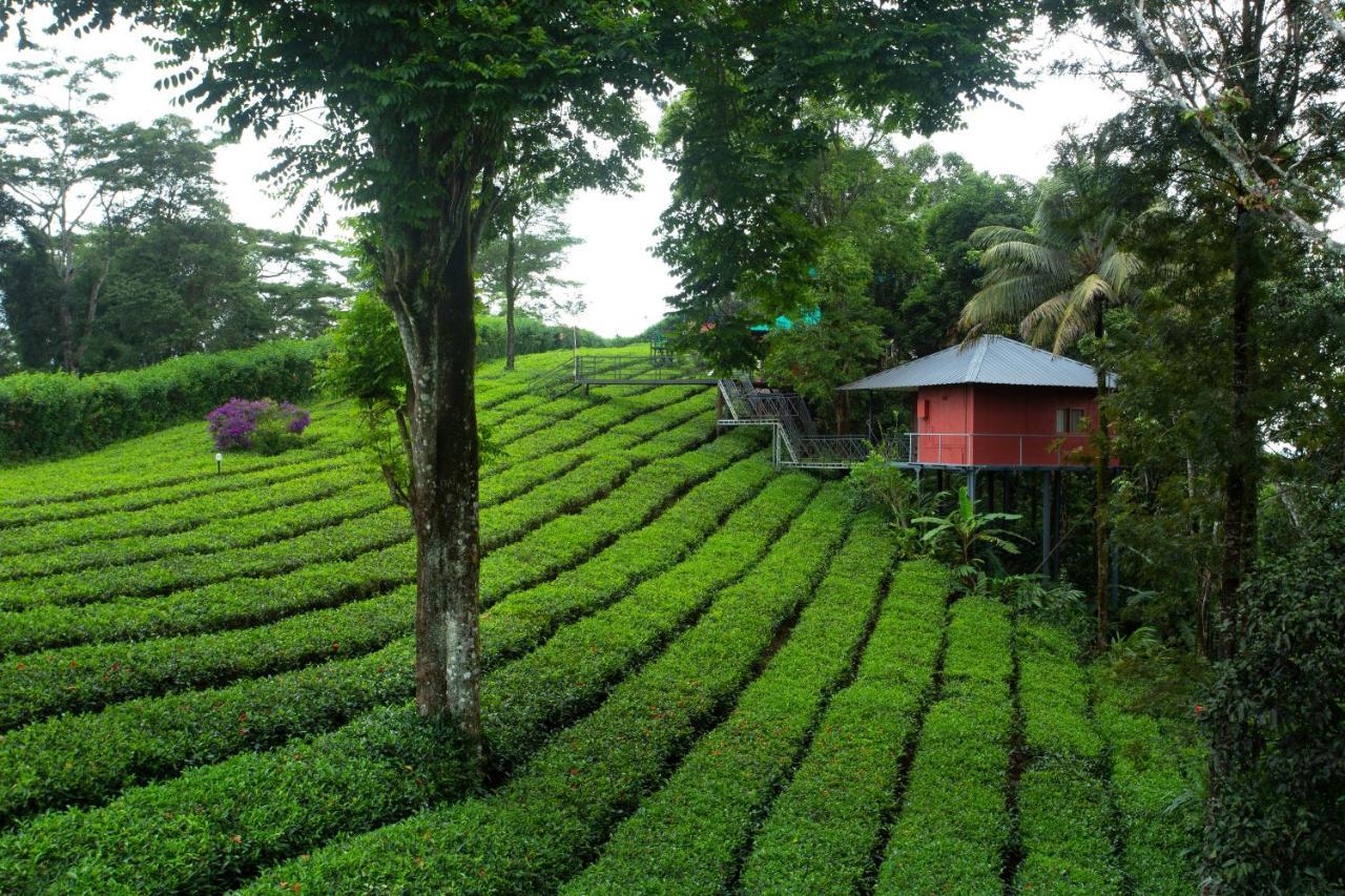 Tea Garden Honeymoon Cottage,1300396405:JPEG