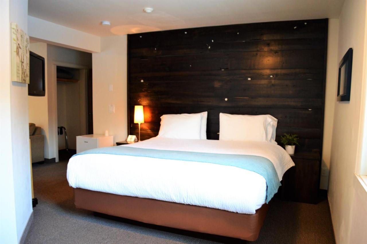 King Studio with Sofa Bed,1351550362:JPEG