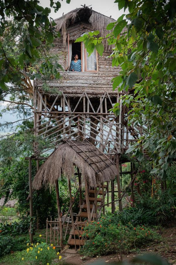 Treehouse for Adults Only
