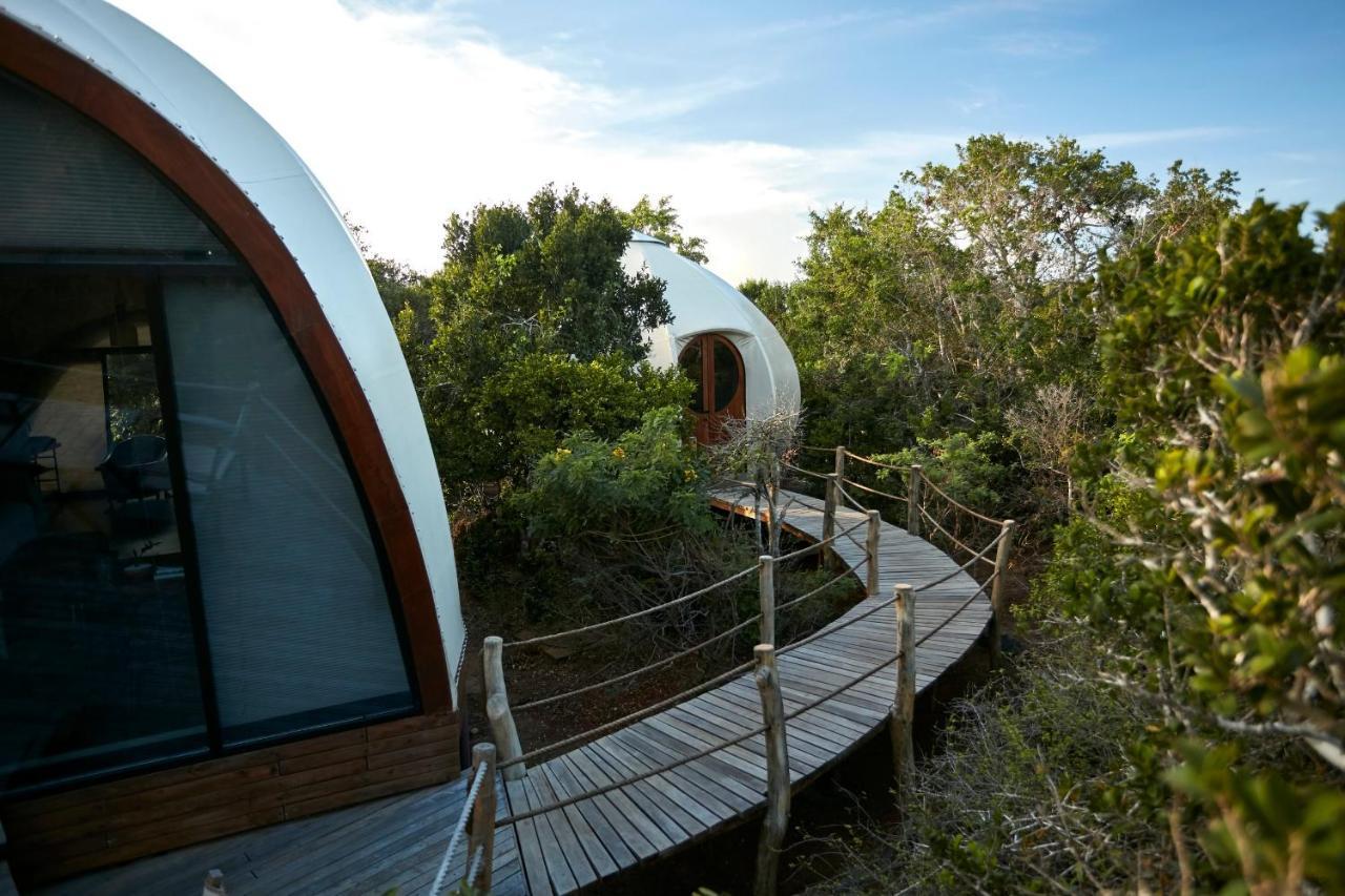 Family Cocoon Pool Suite One Game Drive,1395880655:JPEG