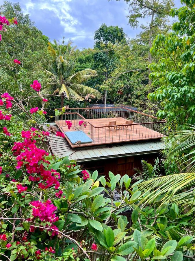 Treehouse Studio with Rooftop,1480668536:JPEG