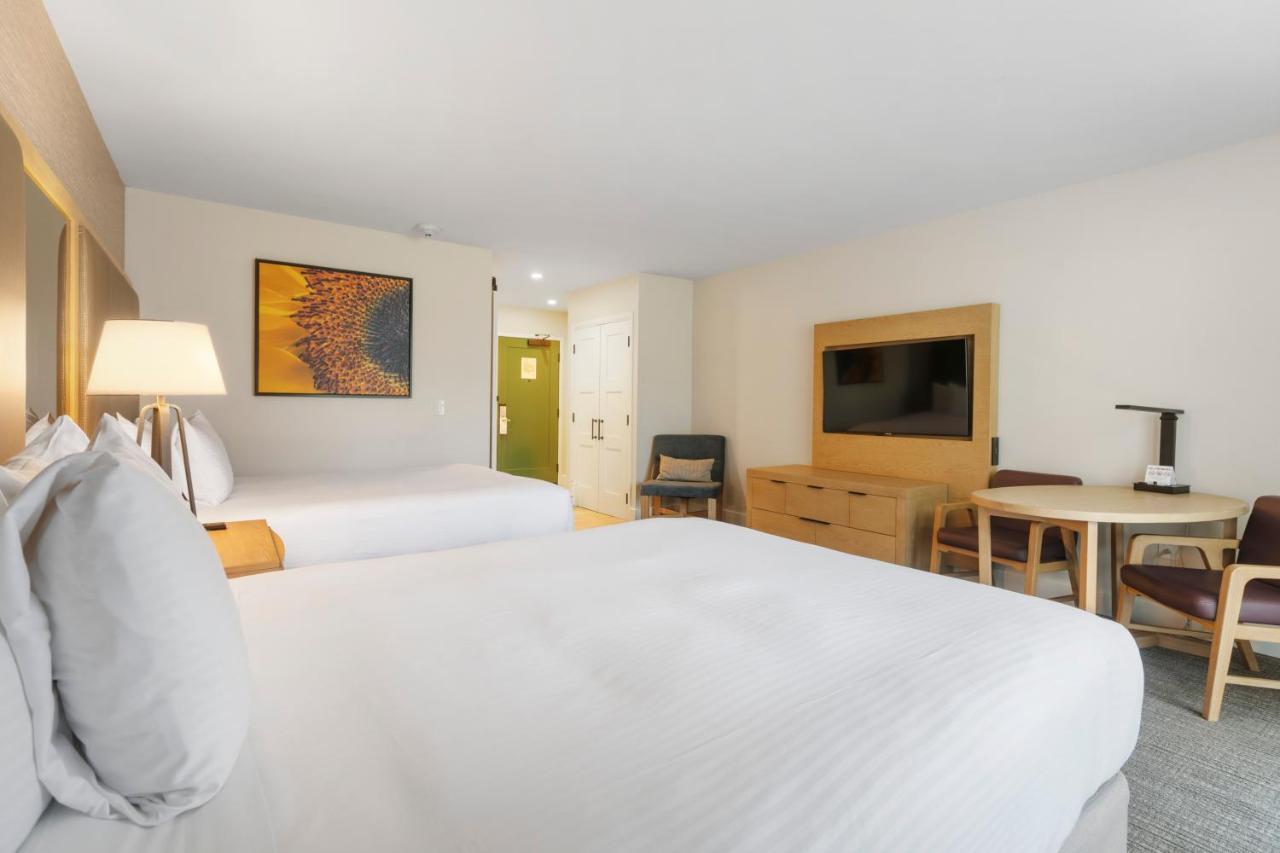 Queen Room,1706453307:JPEG