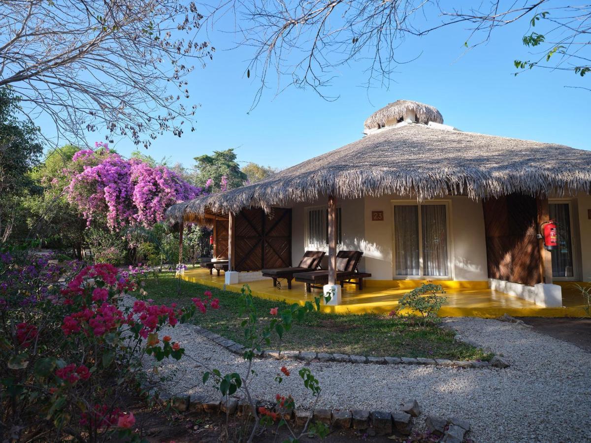 Chambre Double – Vue Jardin,1499357239:JPEG