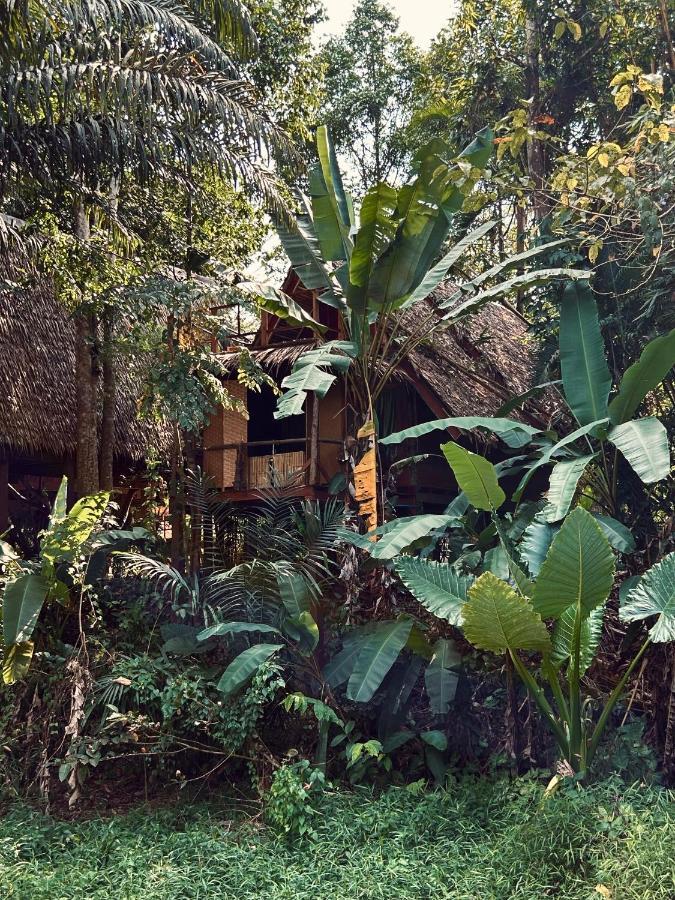 Bungalow with Mountain View,1498785505:JPEG