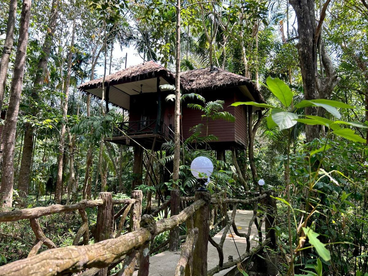 Standard Bungalow,1499413828:JPEG