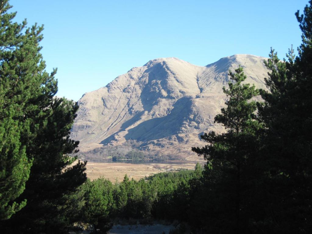 Double or Twin Room,15299656:JPEG