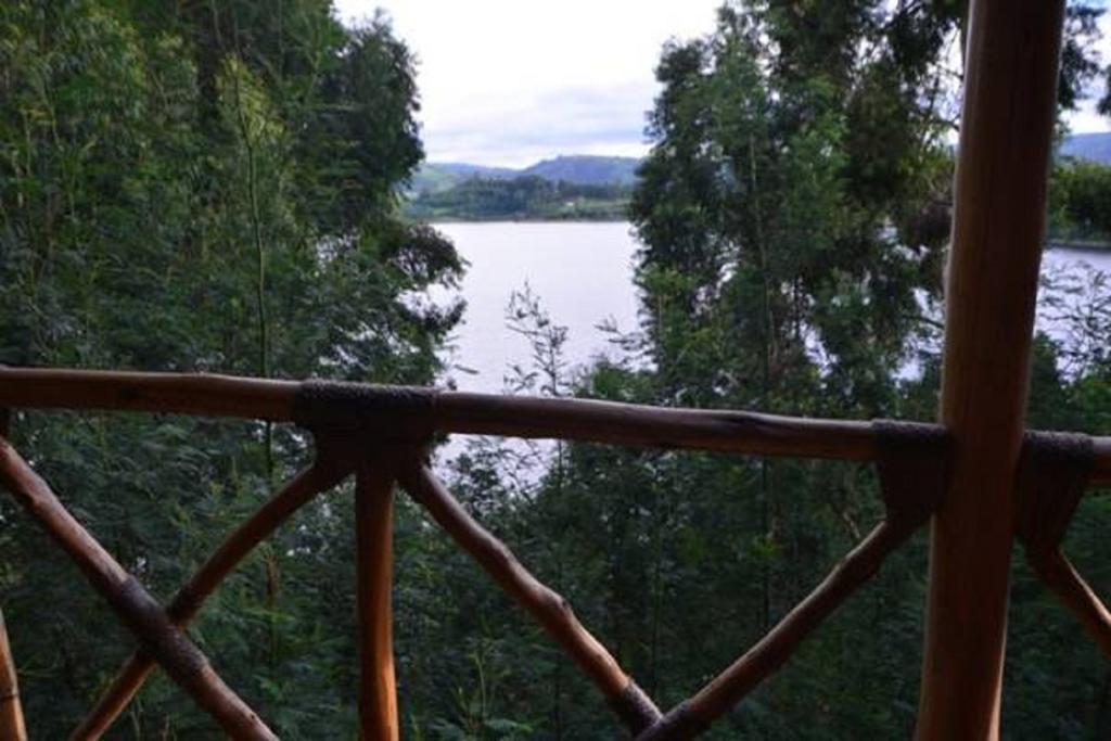 Family Room,203411383:JPEG