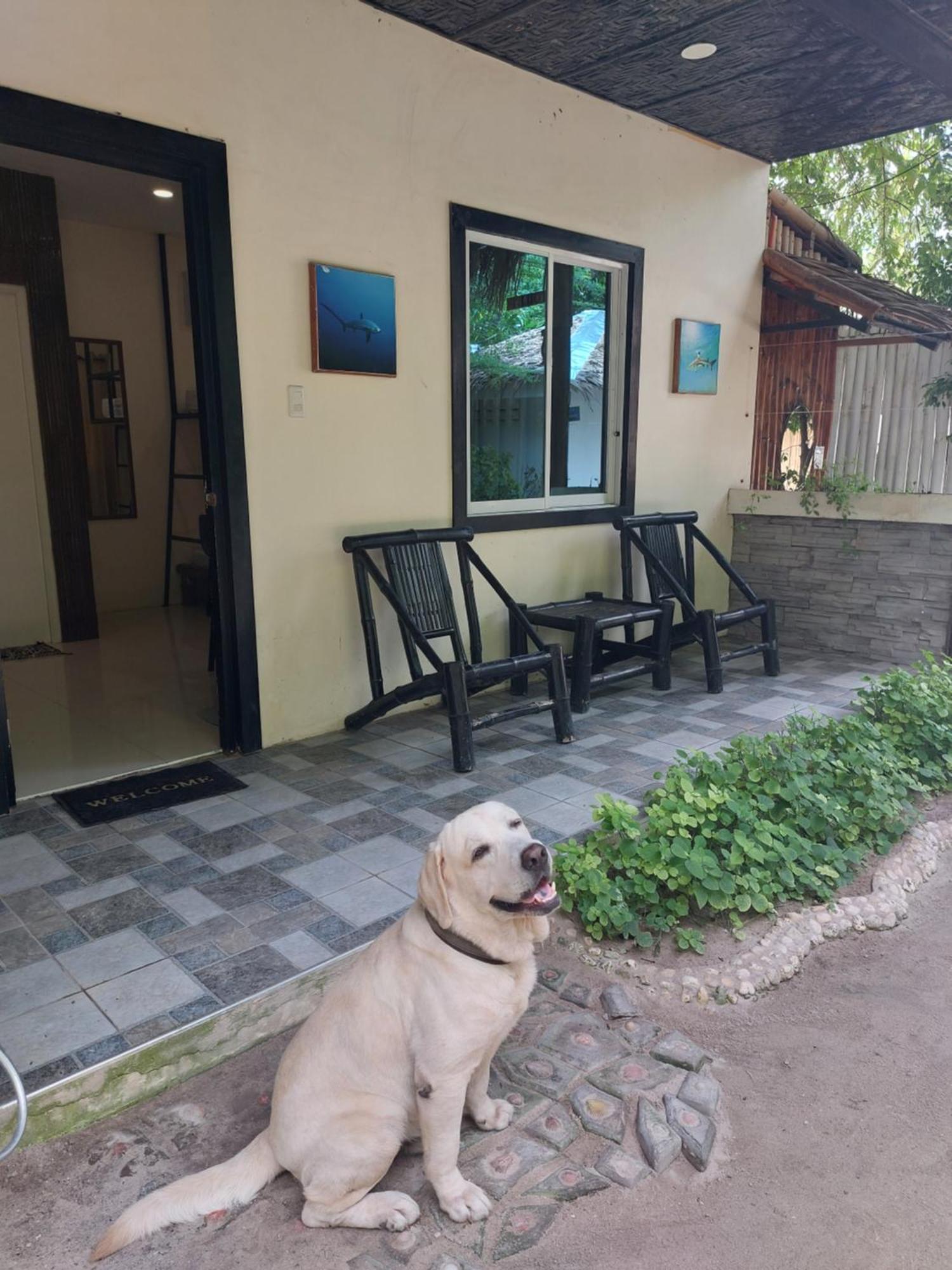 Family Room,1540113469:JPEG