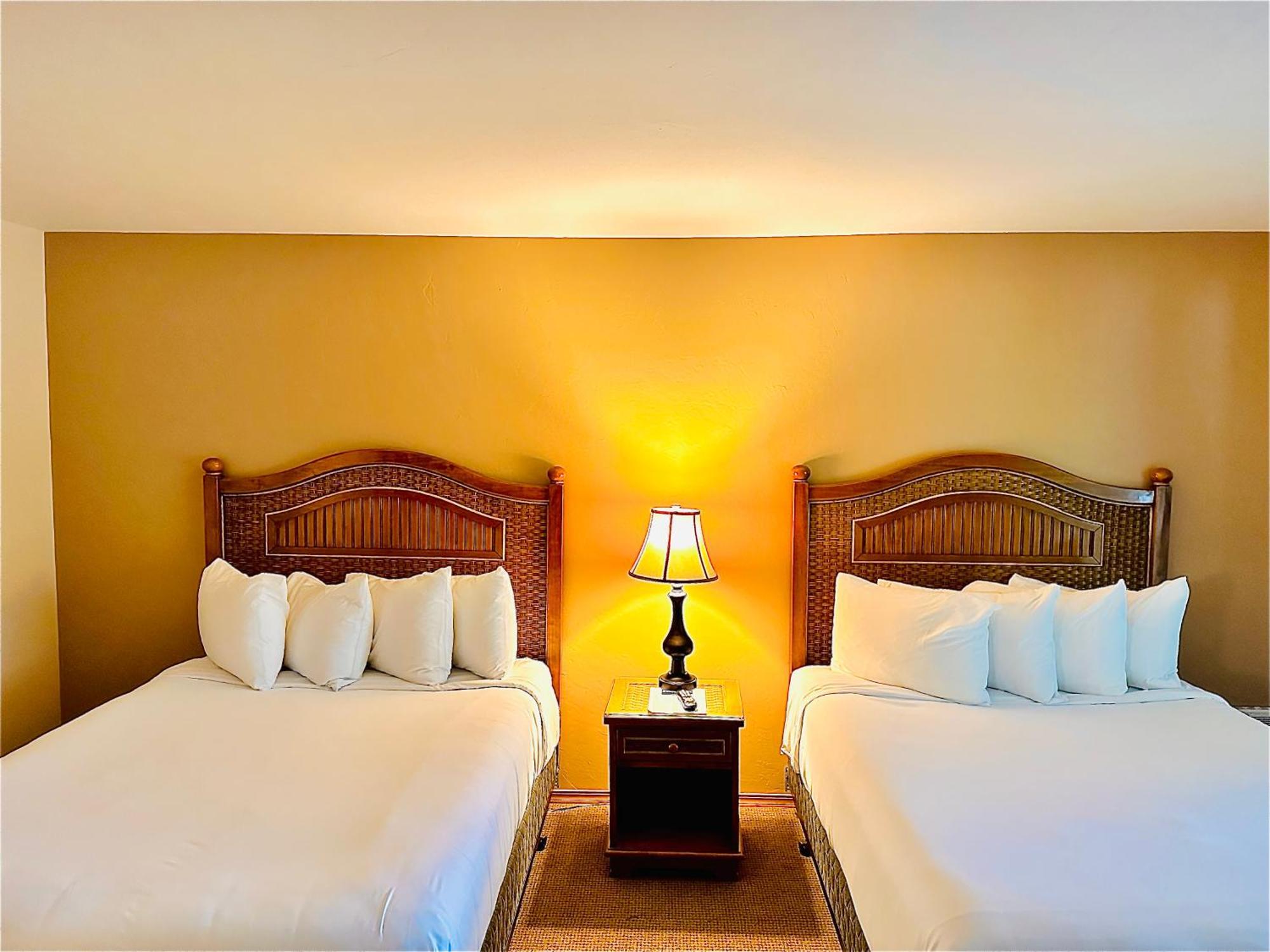 No Pet -- Standard 2 Queens,1549362709:JPEG