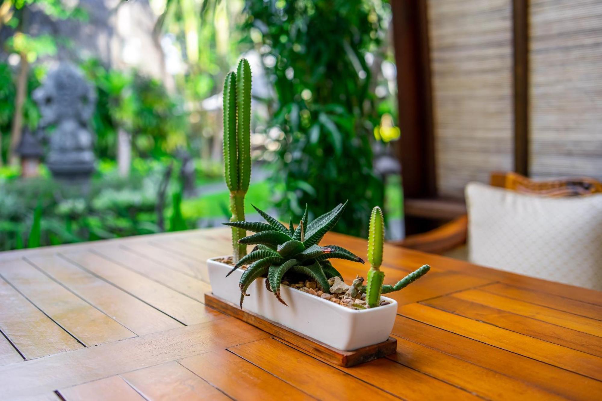 One-Bedroom Villa with King or Twin Bed,1550608468:JPEG