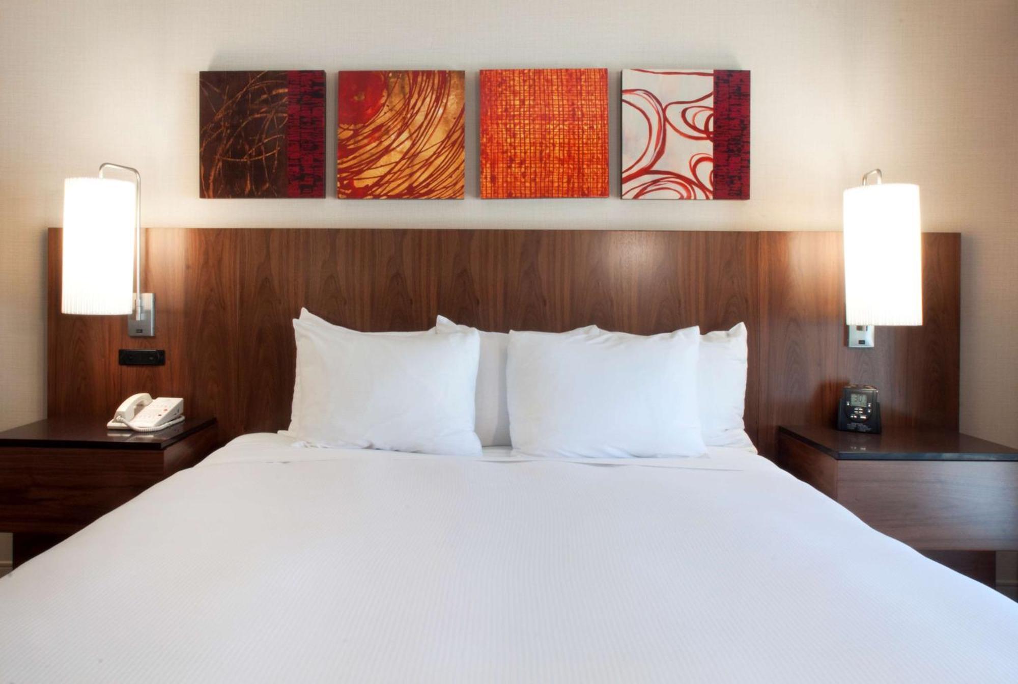 King Room (No Resort Fees),1551309580:JPEG