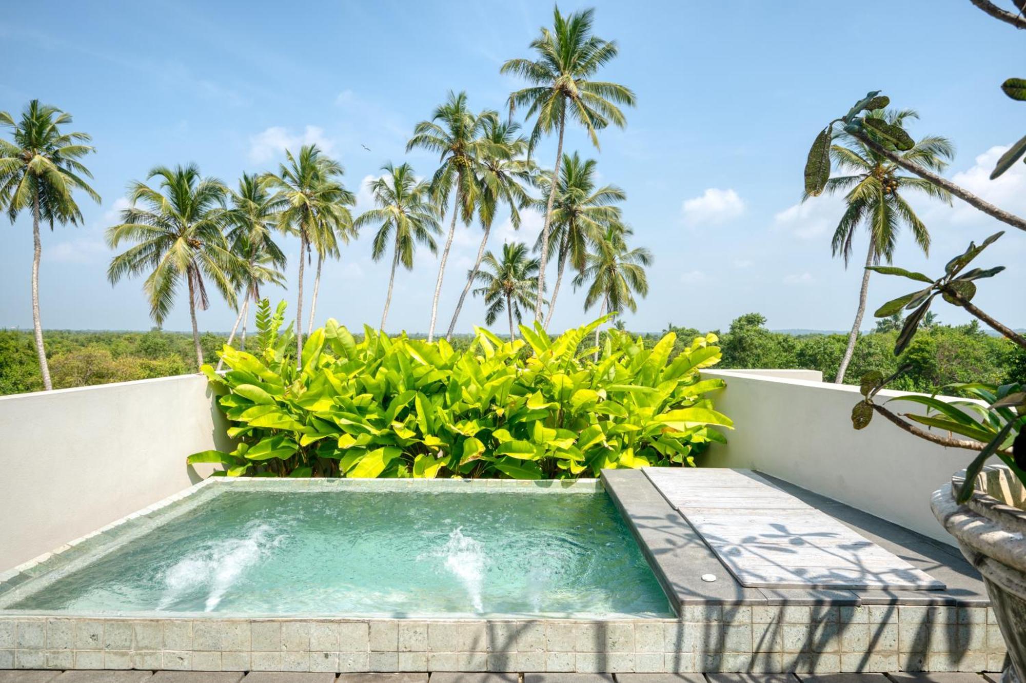 Palm View Suite Jacuzzi,1487780548:JPEG