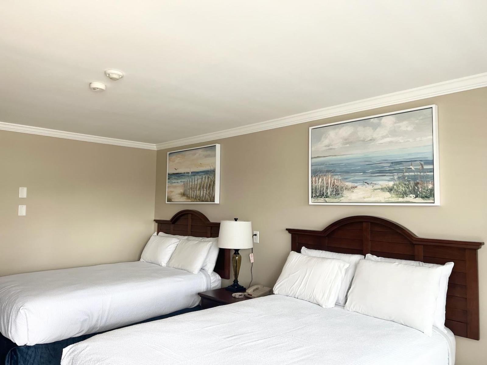 Standard Double Park View with Four Park Passes/each night of stay,1566981803:JPEG