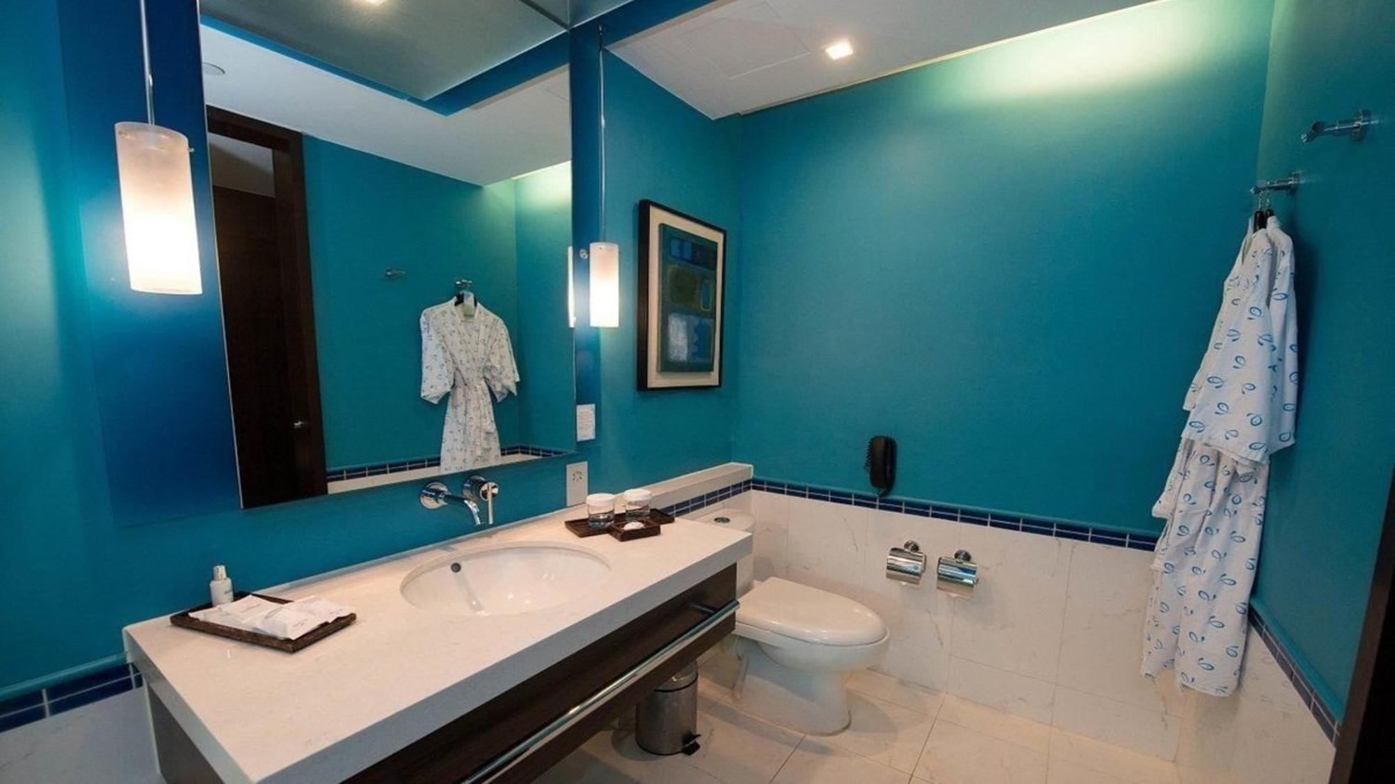 Double or Twin Room Mountain View