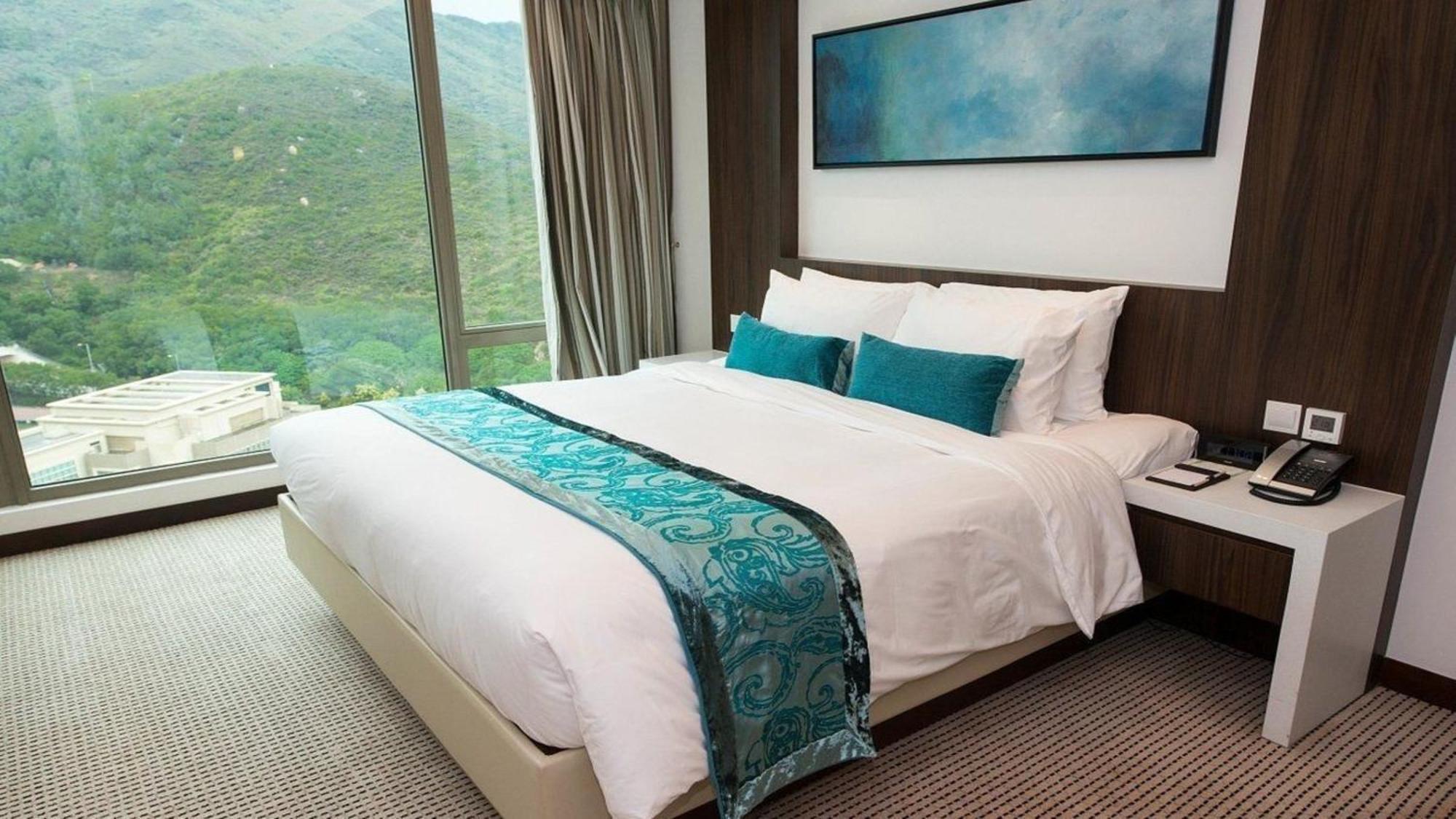 Double or Twin Room Mountain View
