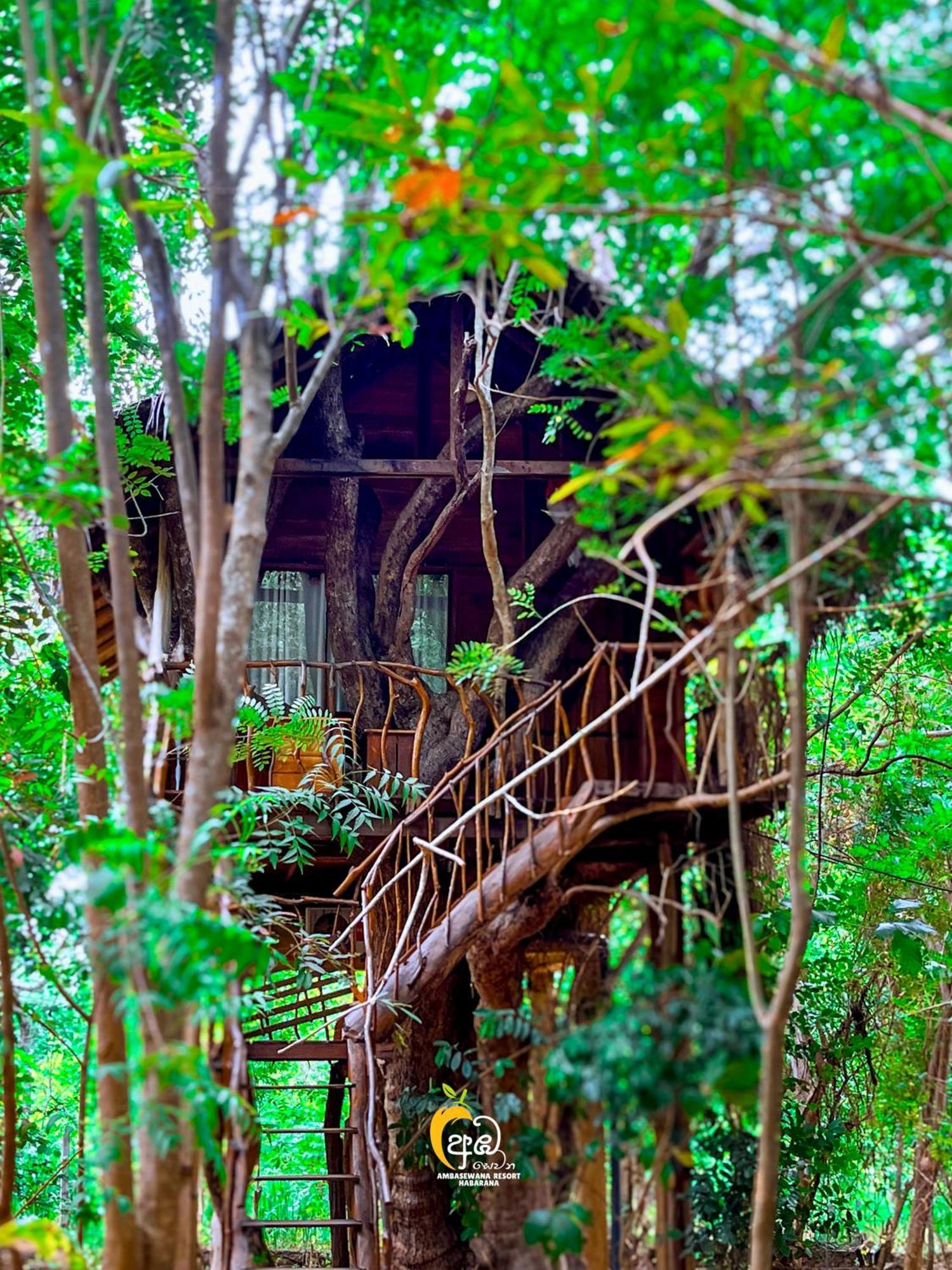Inn on the Tree House