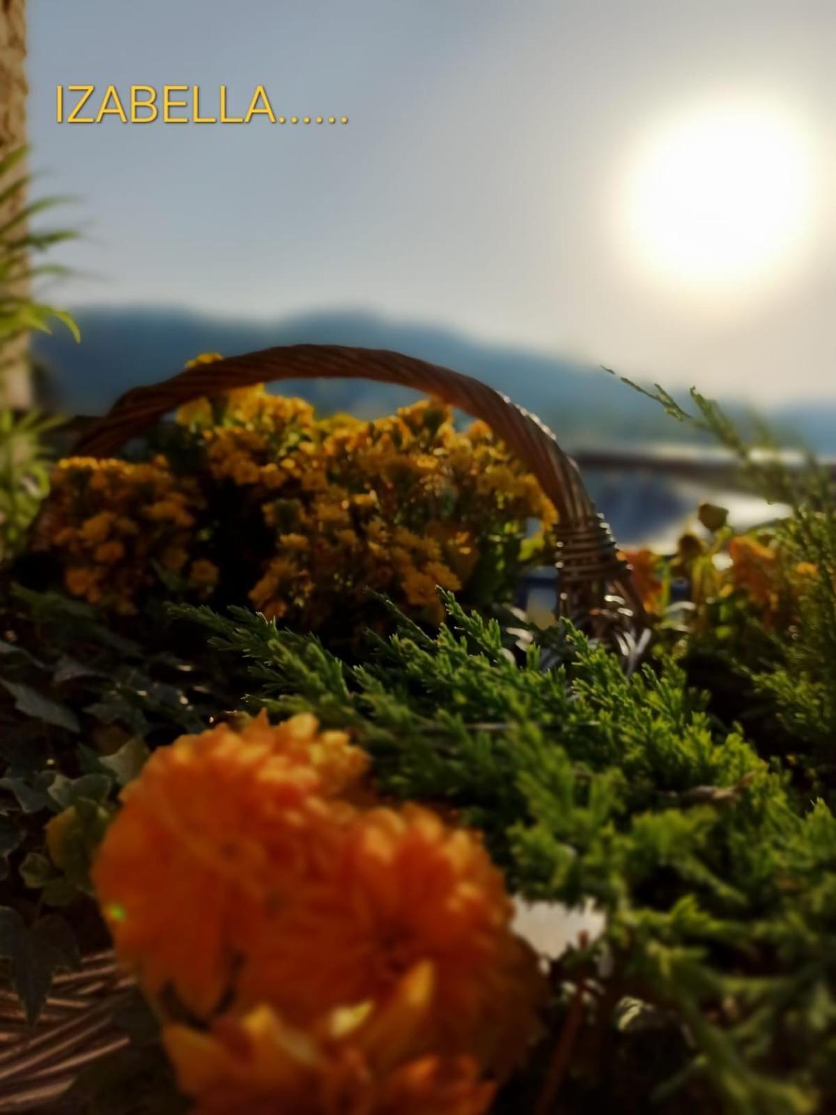 One-Bedroom Apartment,1706847146:JPEG