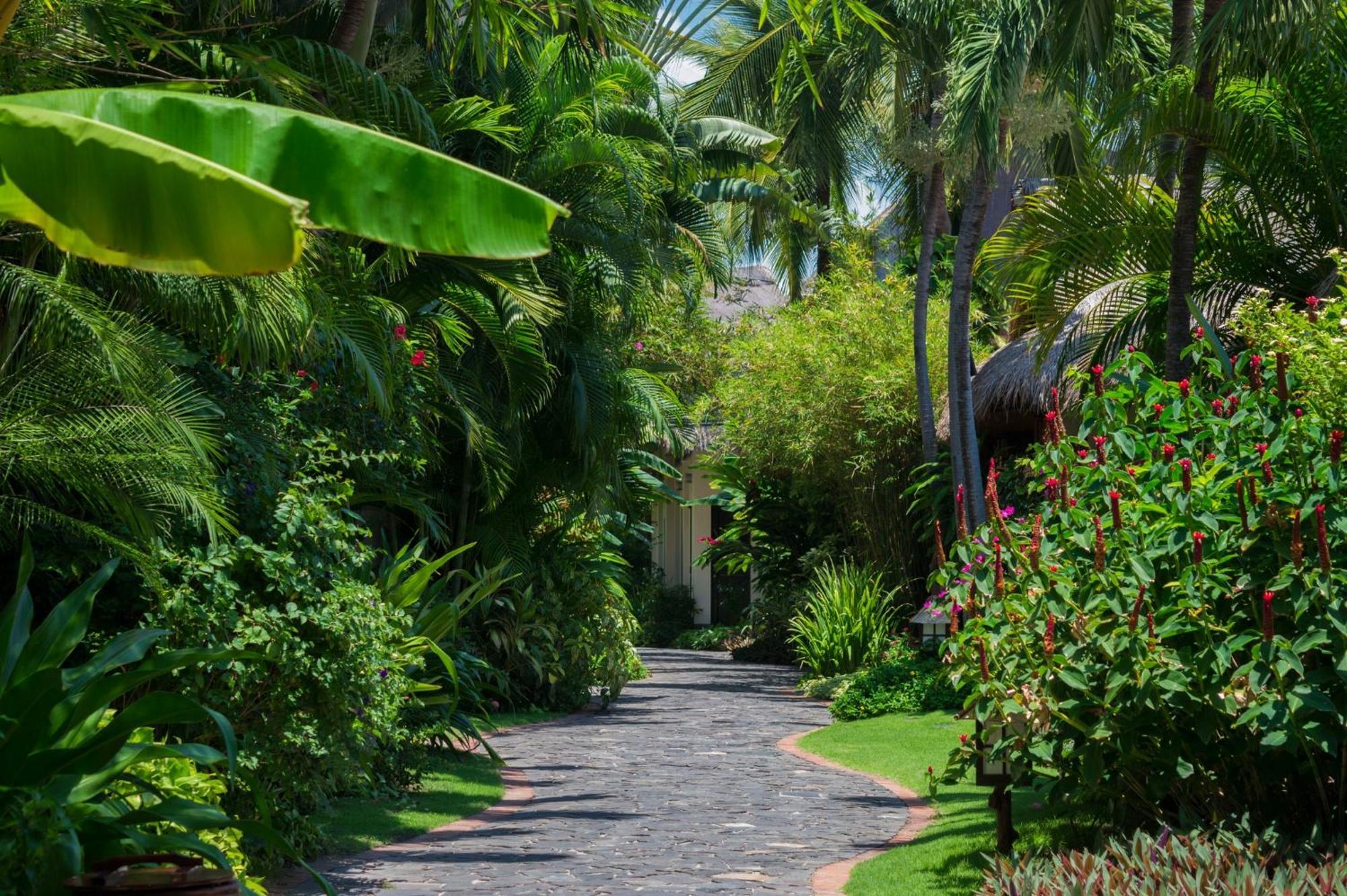 Serene Oasis Bungalow with Garden View,1625484534:JPEG