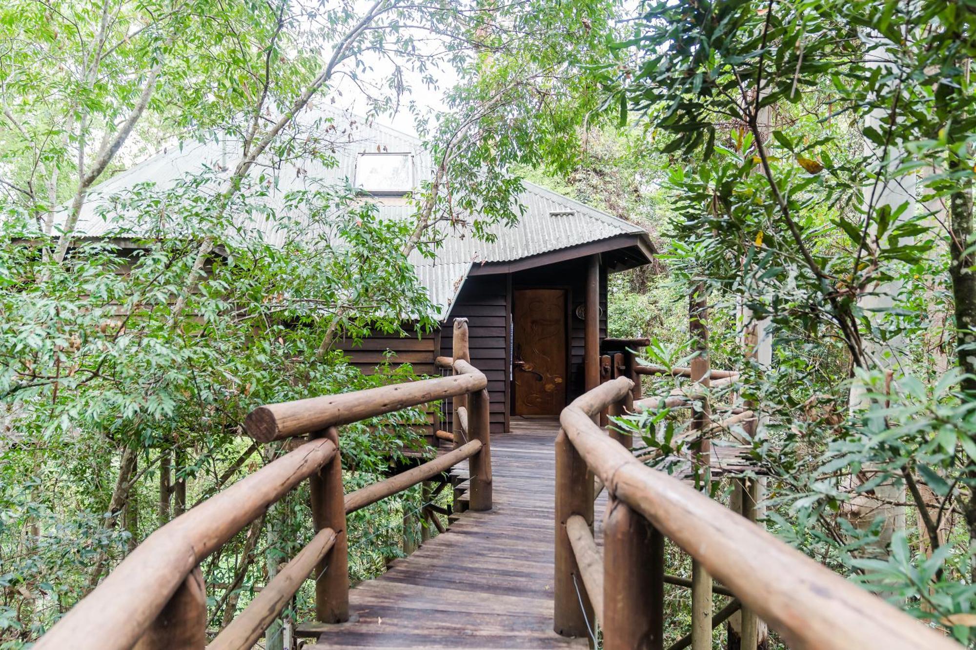 Luxury Treehouse,1608794956:JPEG