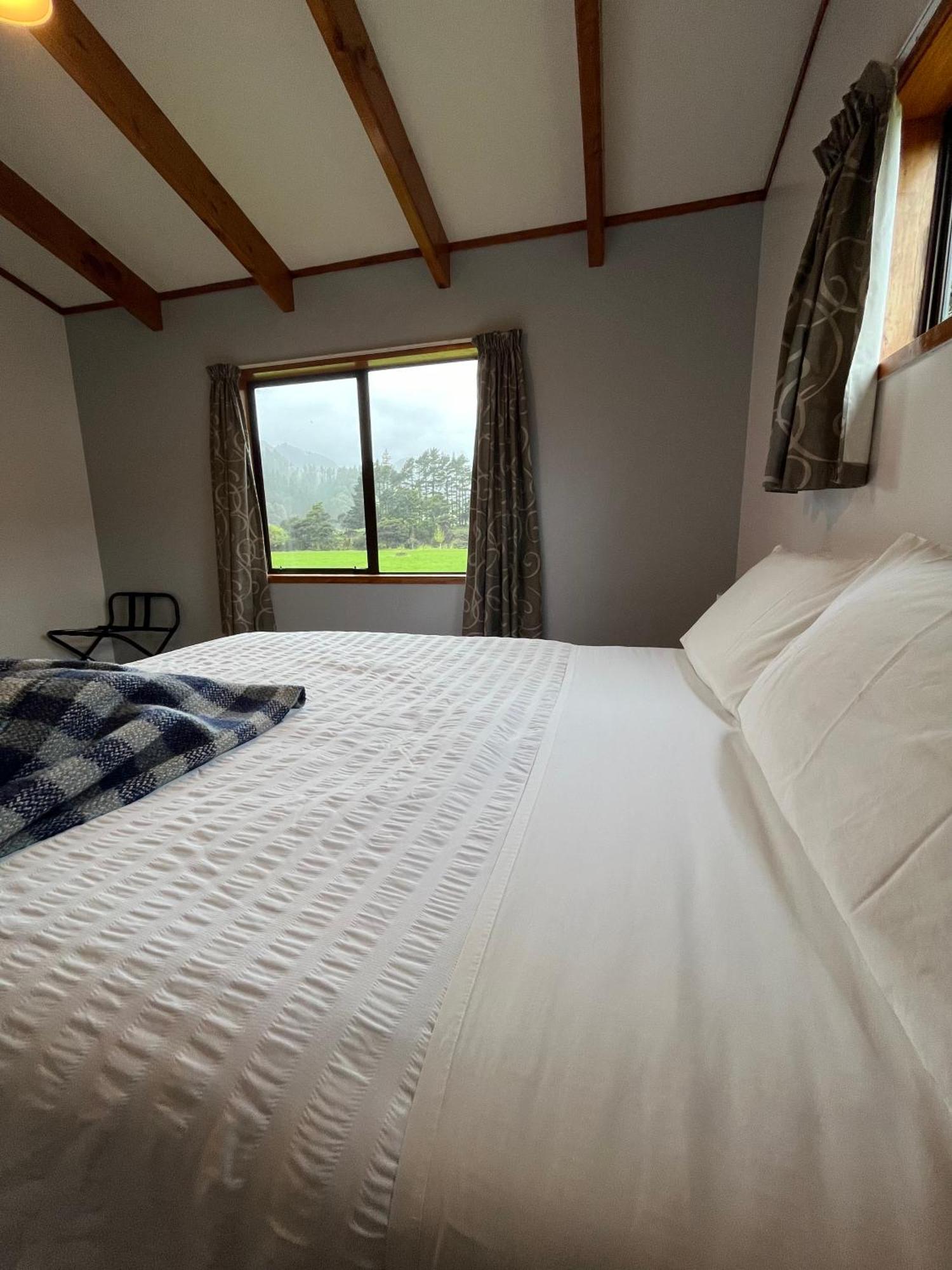 Two-Bedroom House,1628587596:JPEG