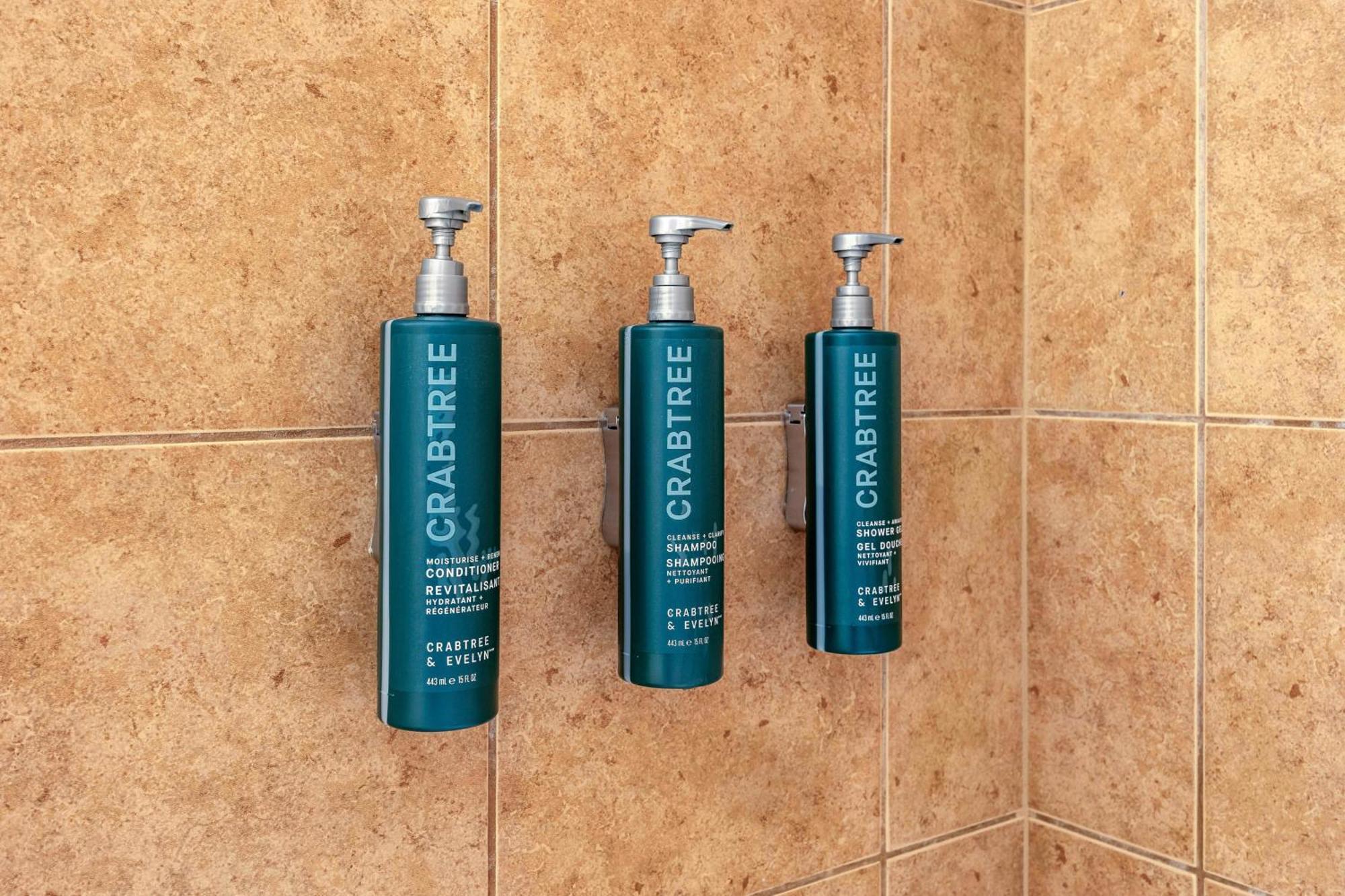 1 BEDROOM 1 KING DELUXE SUITE WITH SOFABED,1685060905:JPEG