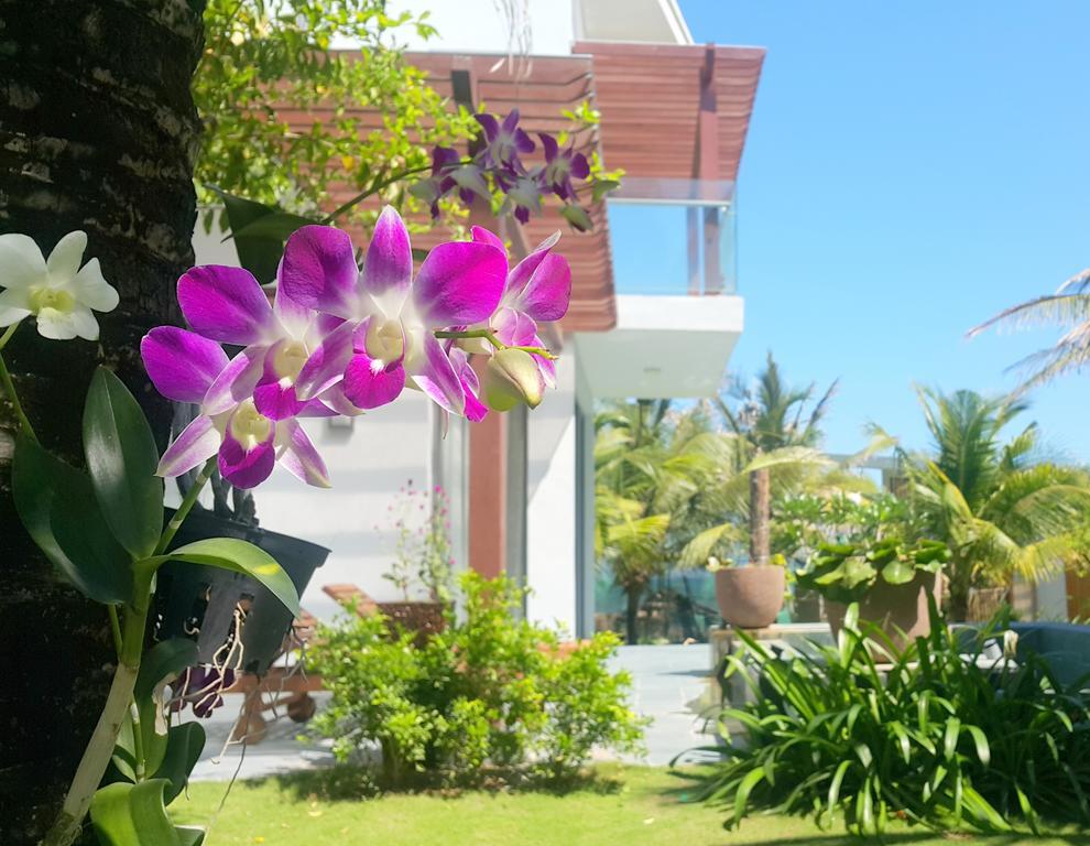 Three-Bedroom Villa,323421064:JPEG