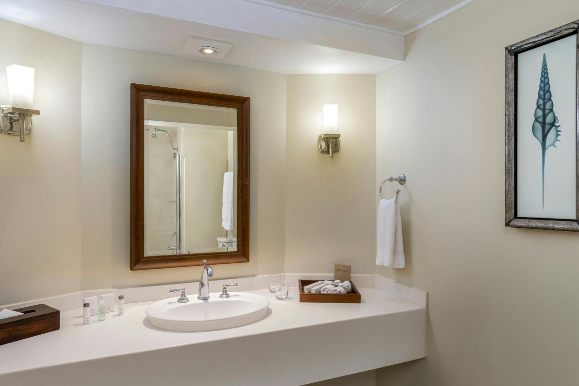 Ocean View,1 Bedroom Suite,1645024823:JPEG