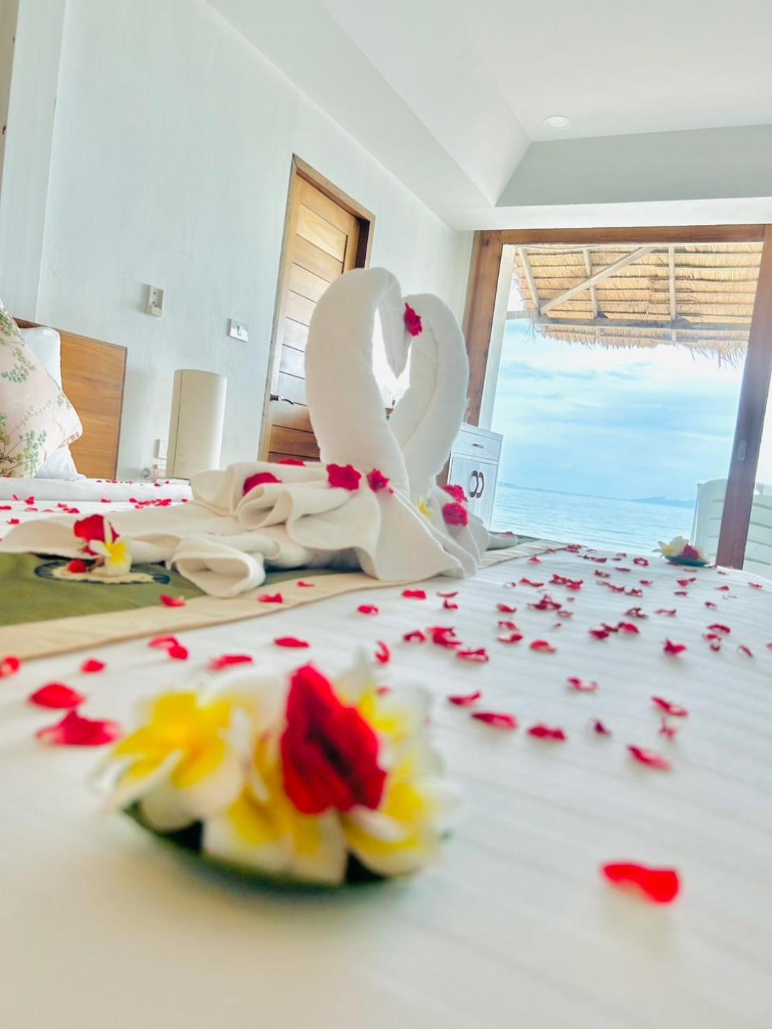 Beach Front,1662402761:JPEG