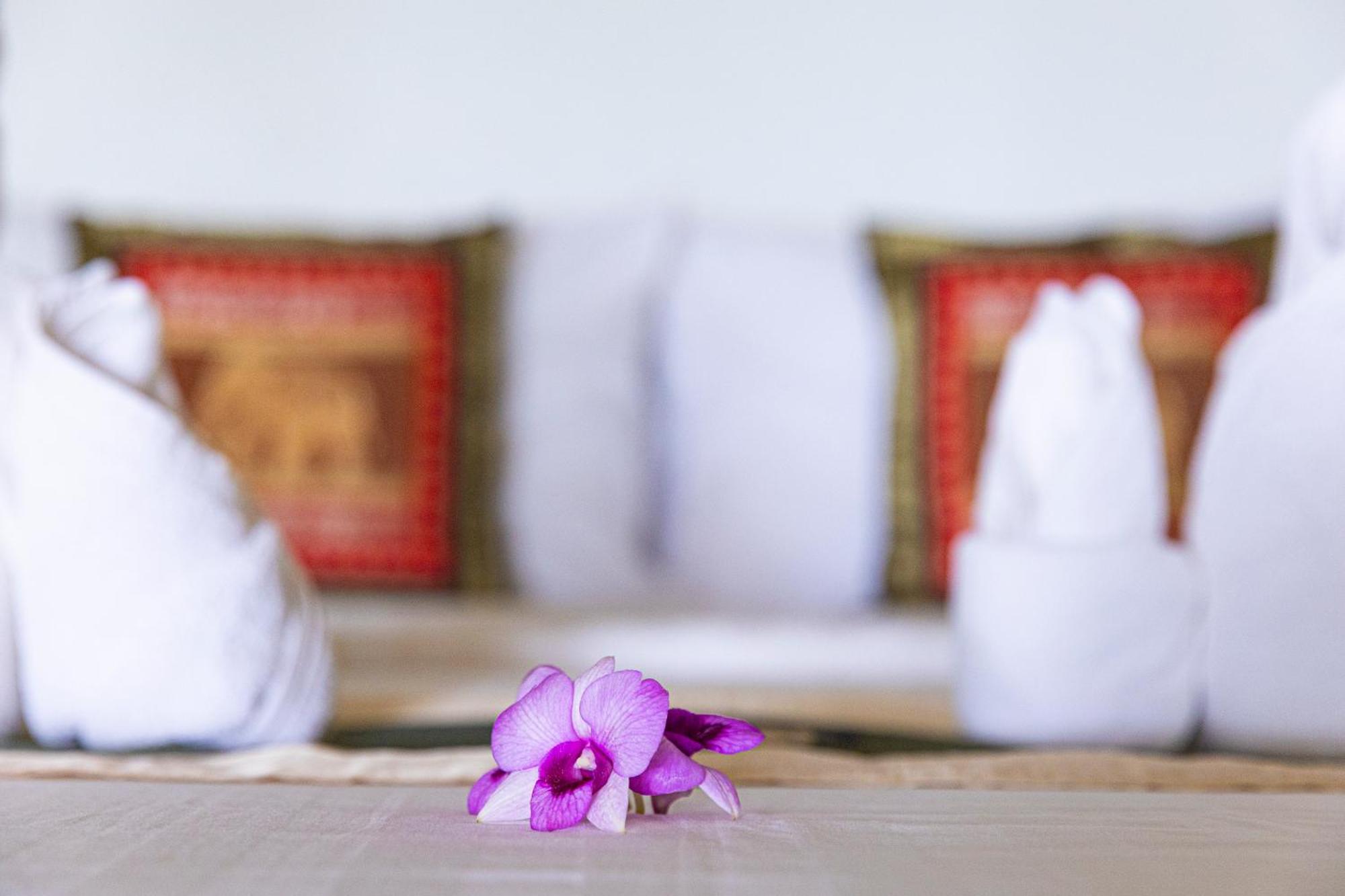 Premier Beach Access,1662402737:JPEG