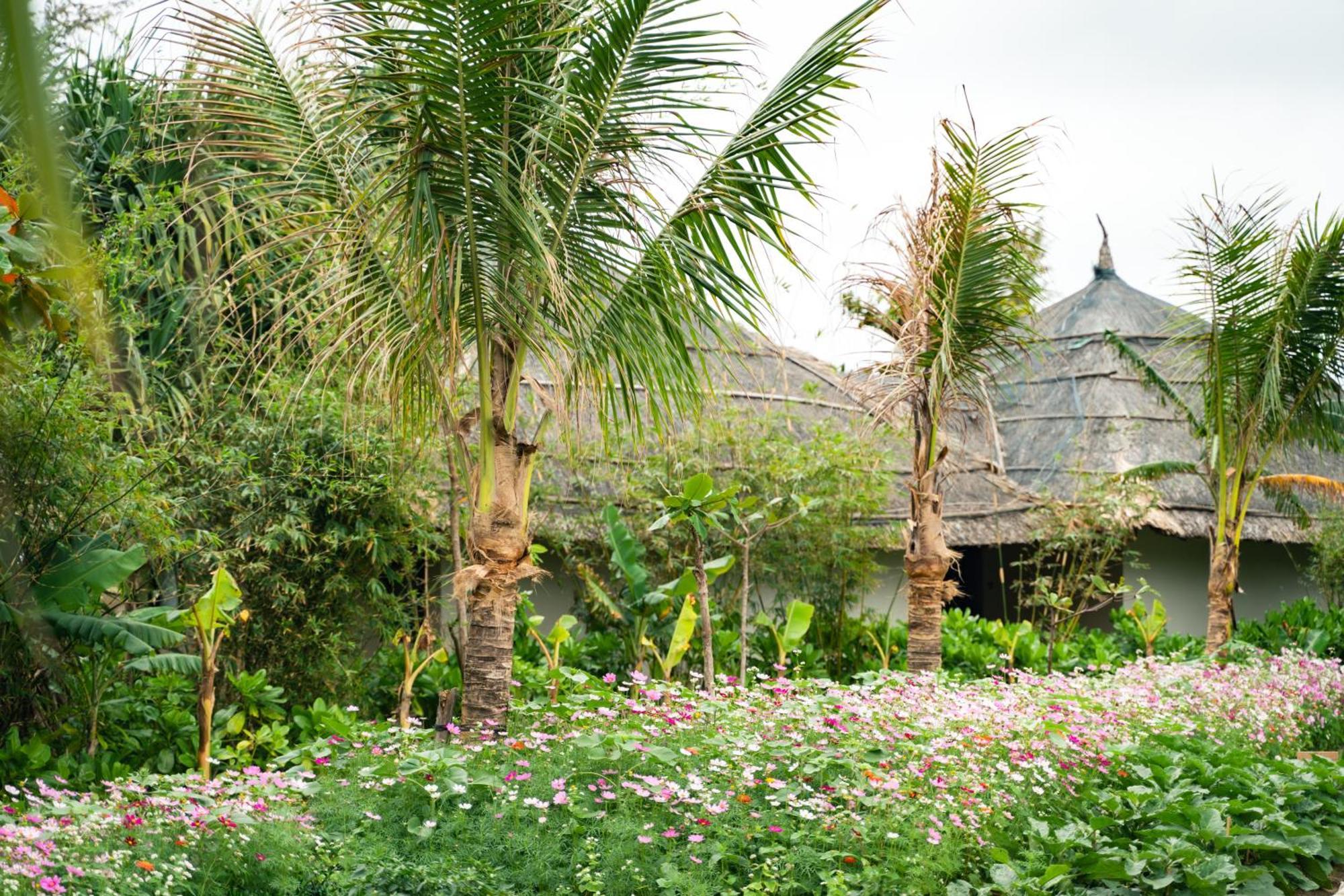 Standard Garden Double Bungalow,1673962572:JPEG