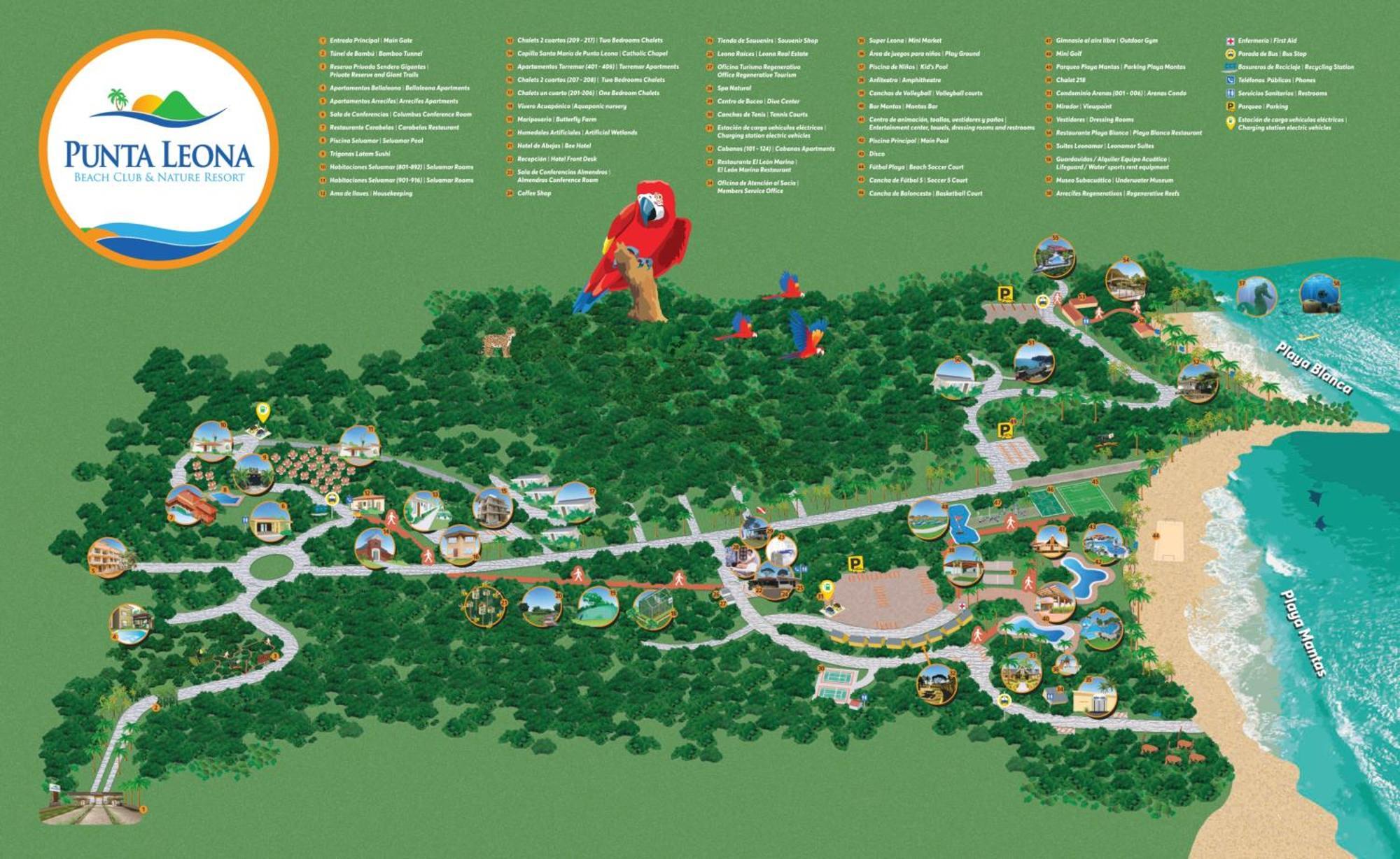 Apartment (4 Adults) (1.2 Km from the beach)