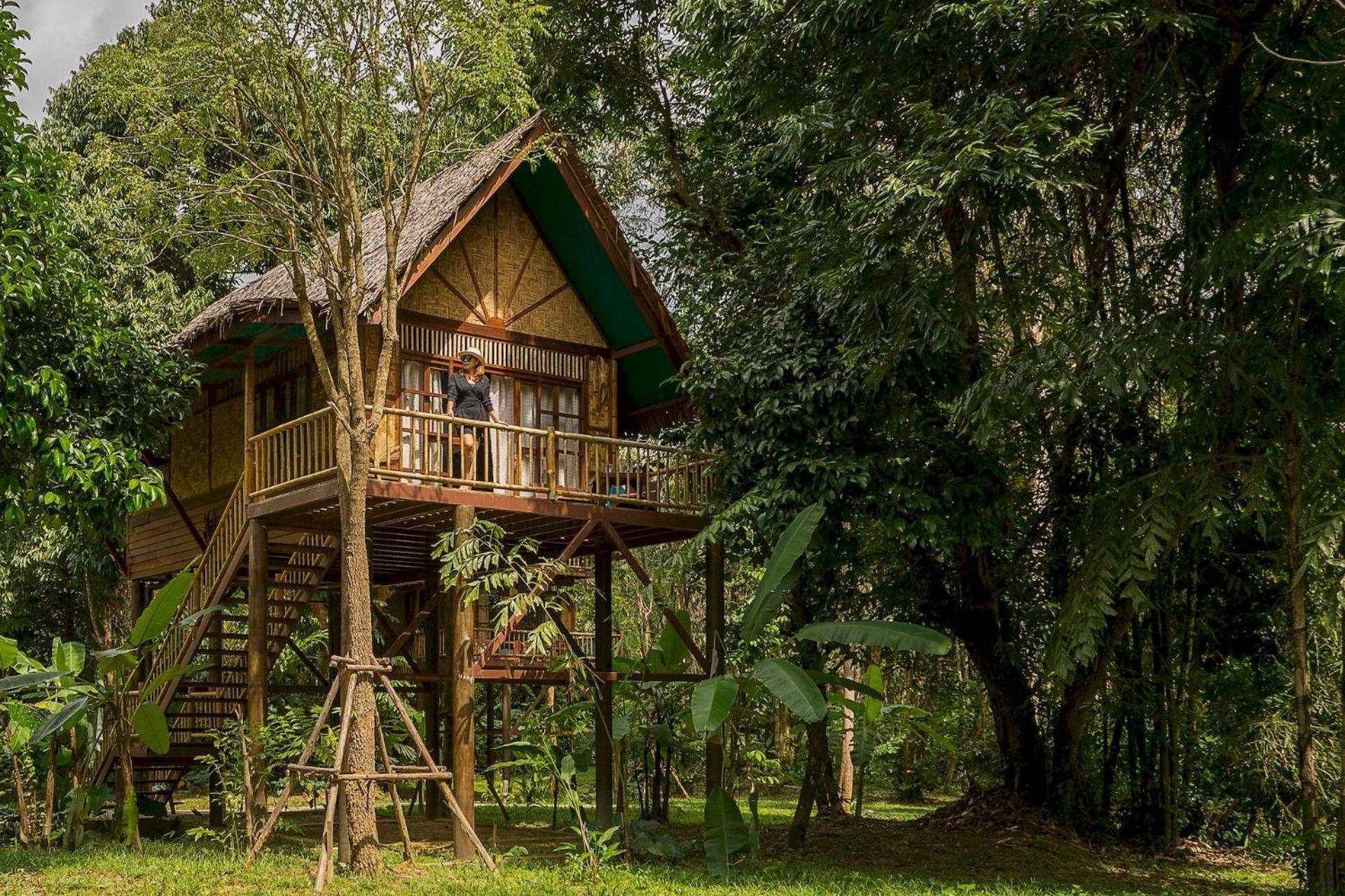 Treehouse Double,1692064736:JPEG