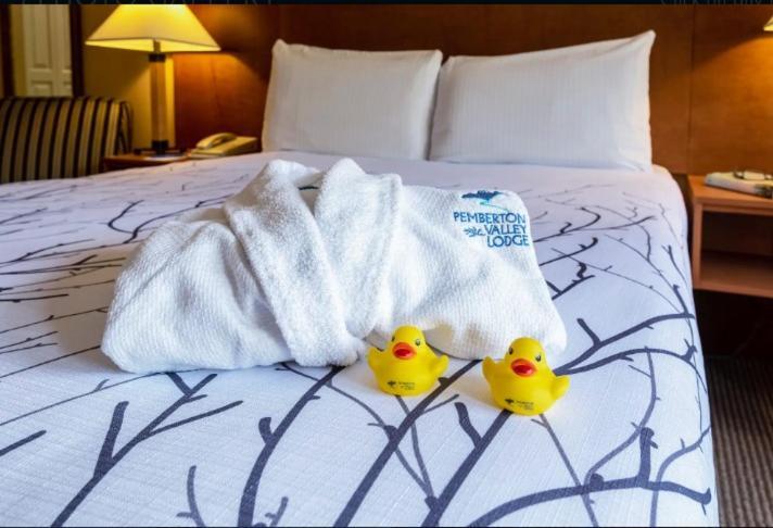 Studio with Kitchenette,1697835105:JPEG