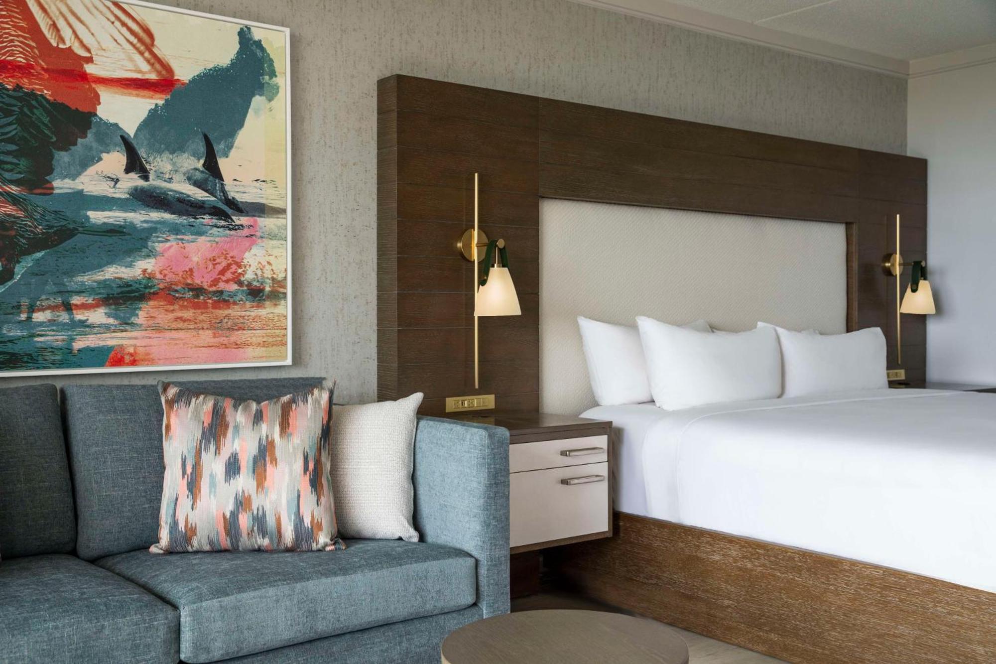 Terrace Room - King - Sofa Bed,1717032343:JPEG