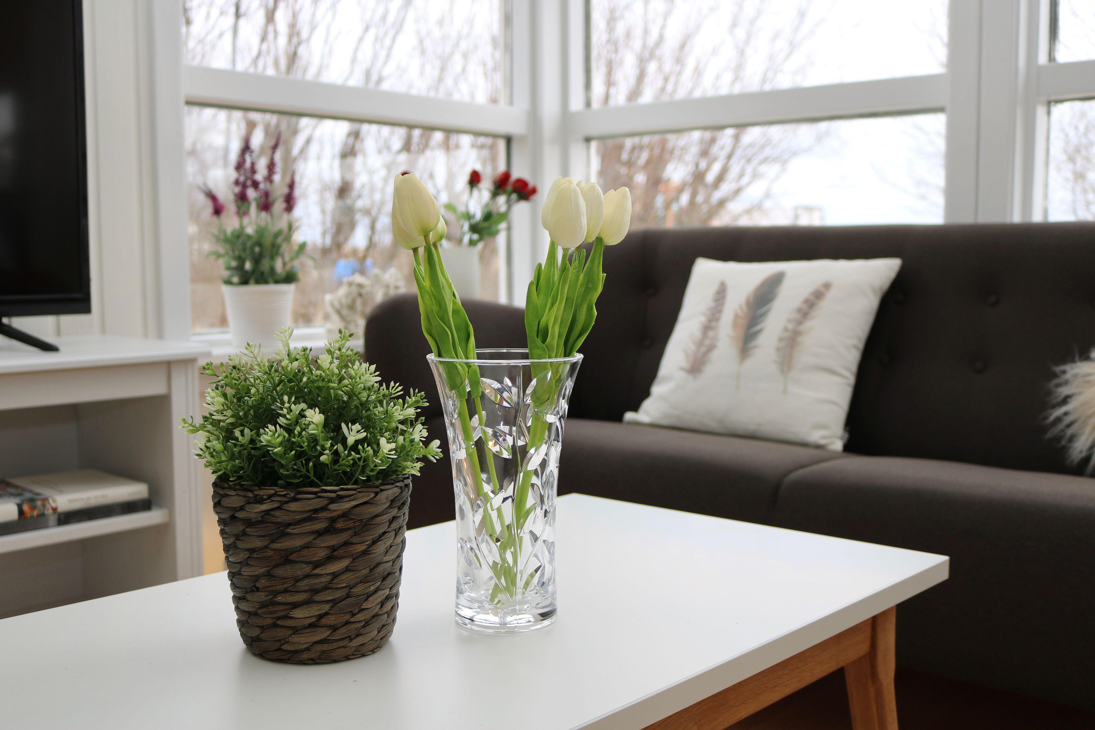 One-Bedroom House,1747003685:JPEG